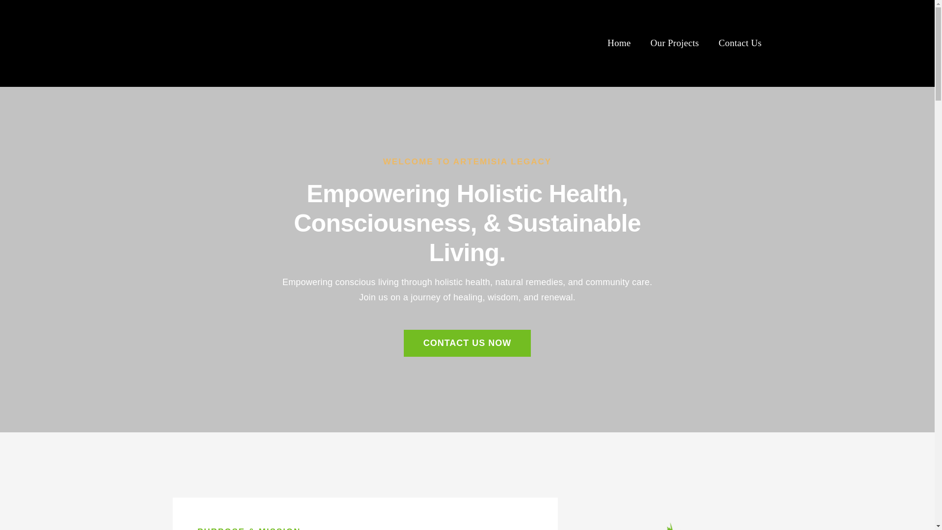 website screenshot of https://artemisiaorganics.org/