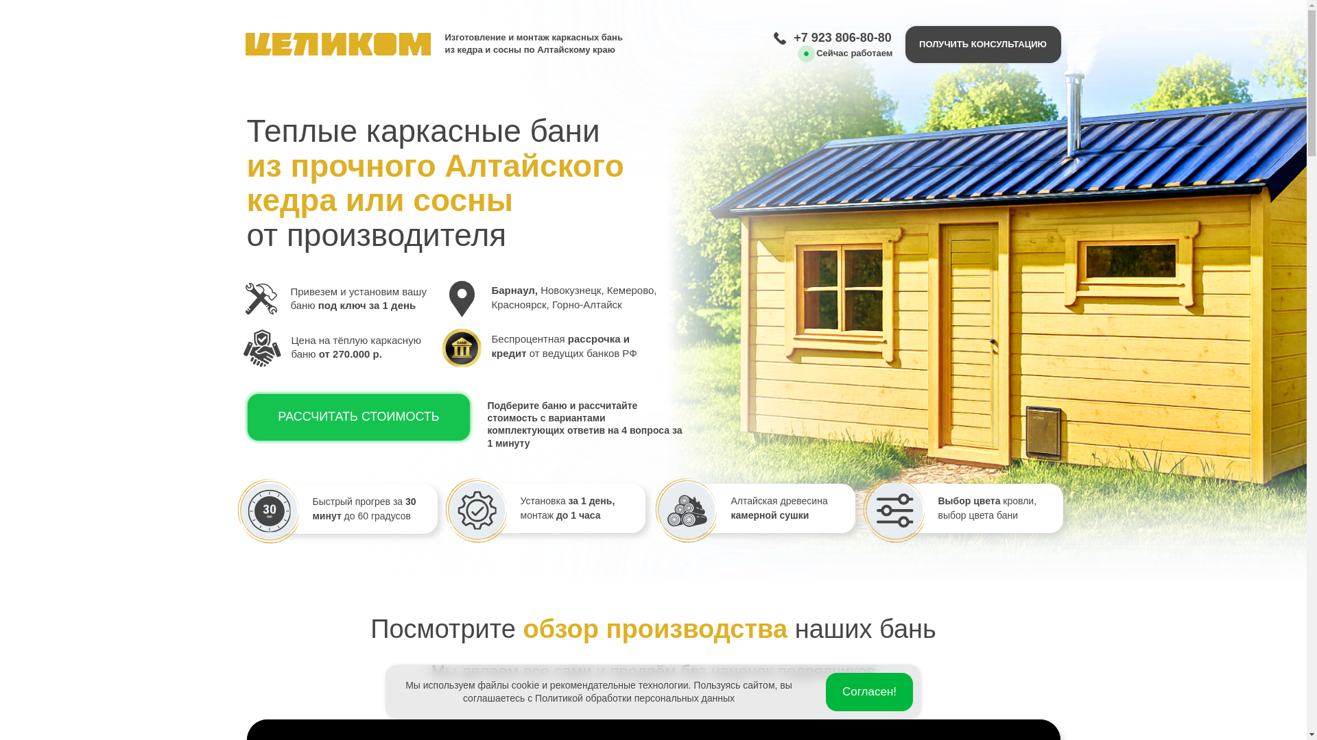 website screenshot of https://altai-master-shchitovyye.ru/