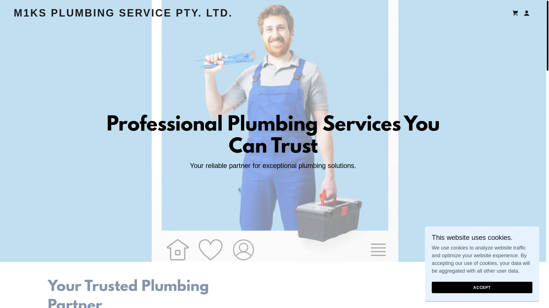 website screenshot of https://m1ksplumbingservice.com/