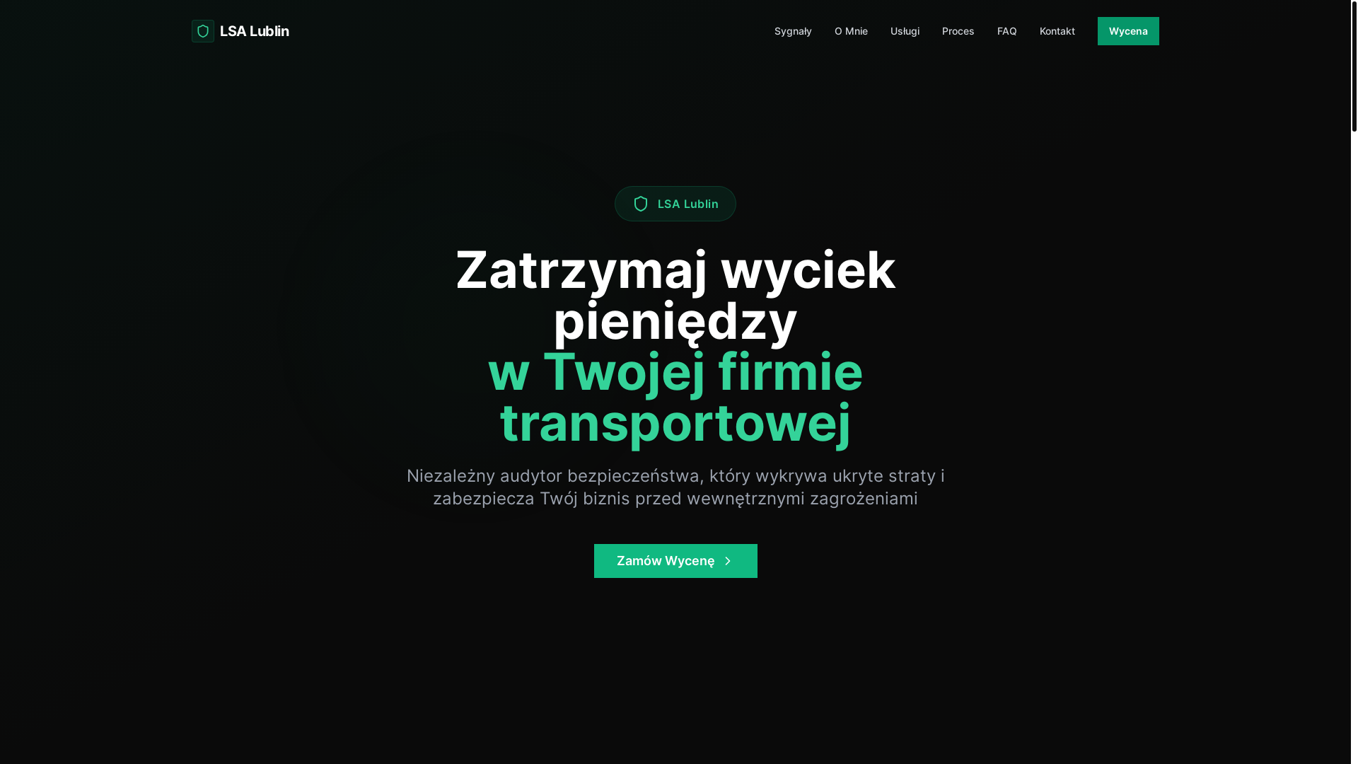 website screenshot of https://audyt-transportowy.pl/