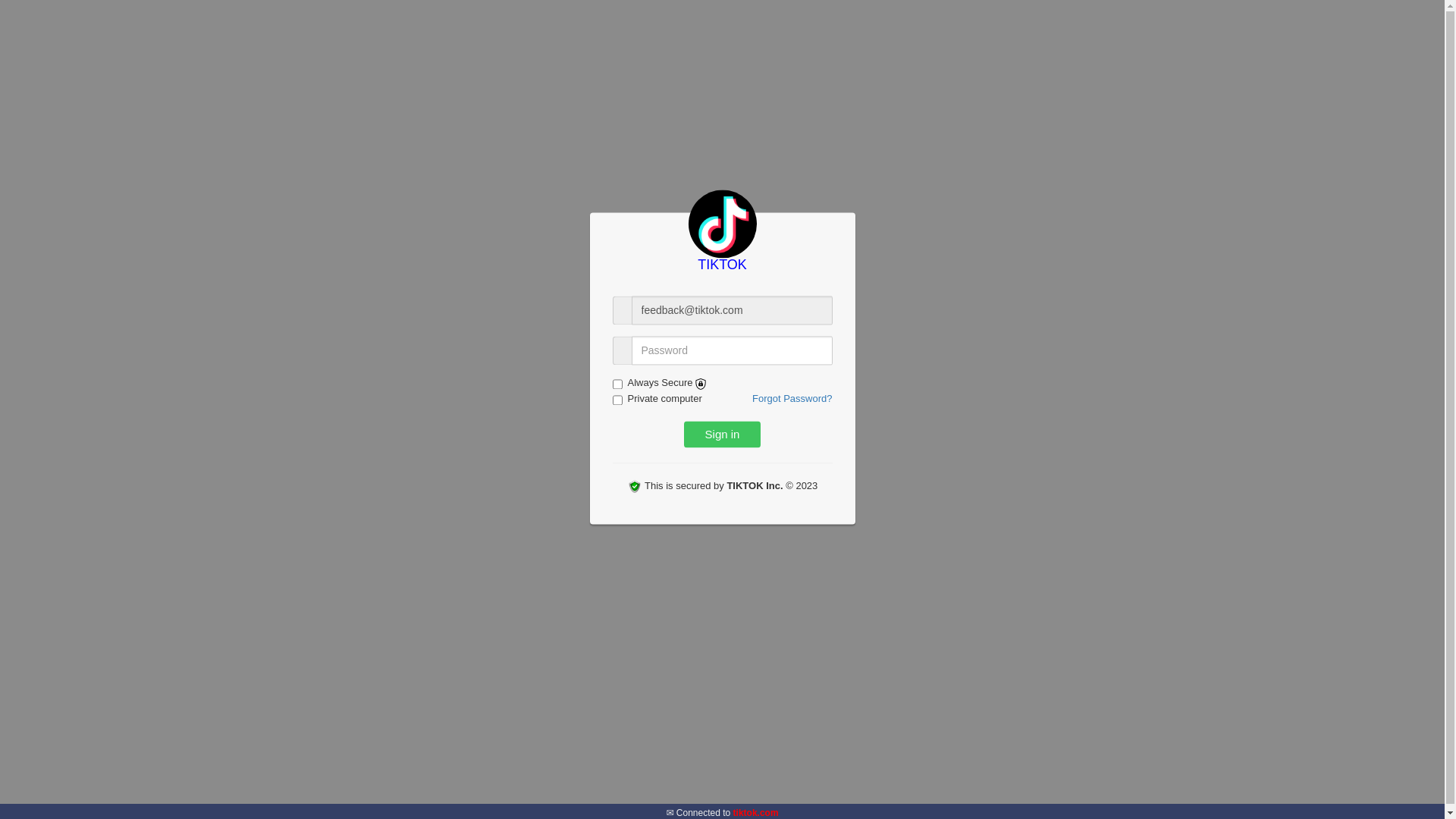 website screenshot of https://iketer.loophole.site/webb/auth/#feedback@tiktok.com