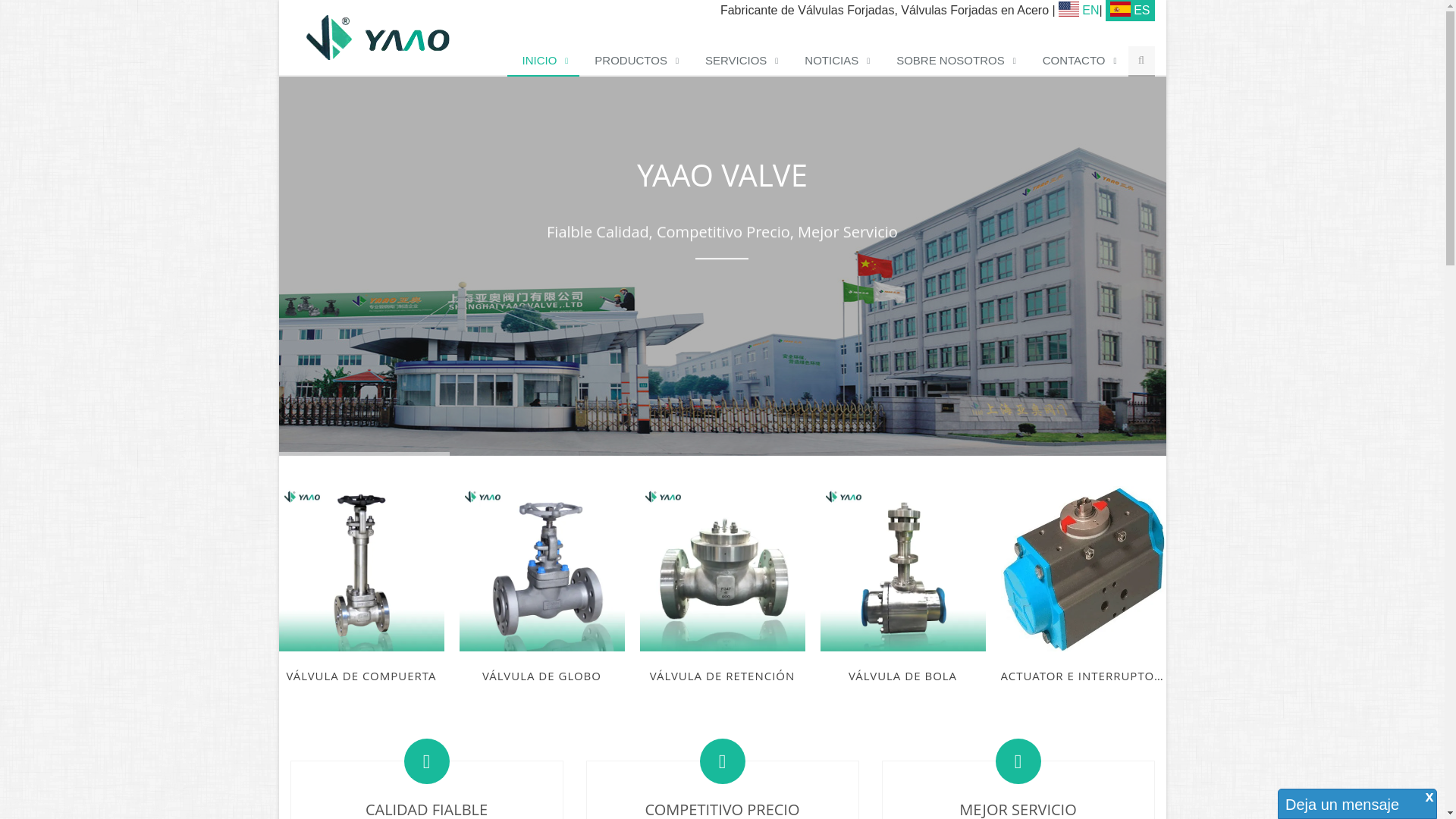 website screenshot of https://valvulachina.com/