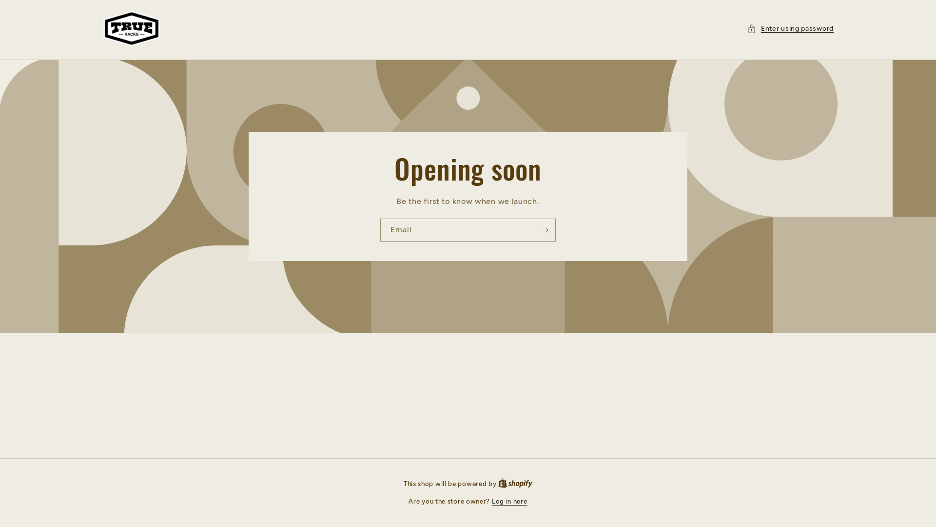 website screenshot of https://trueracksboardshop.com/