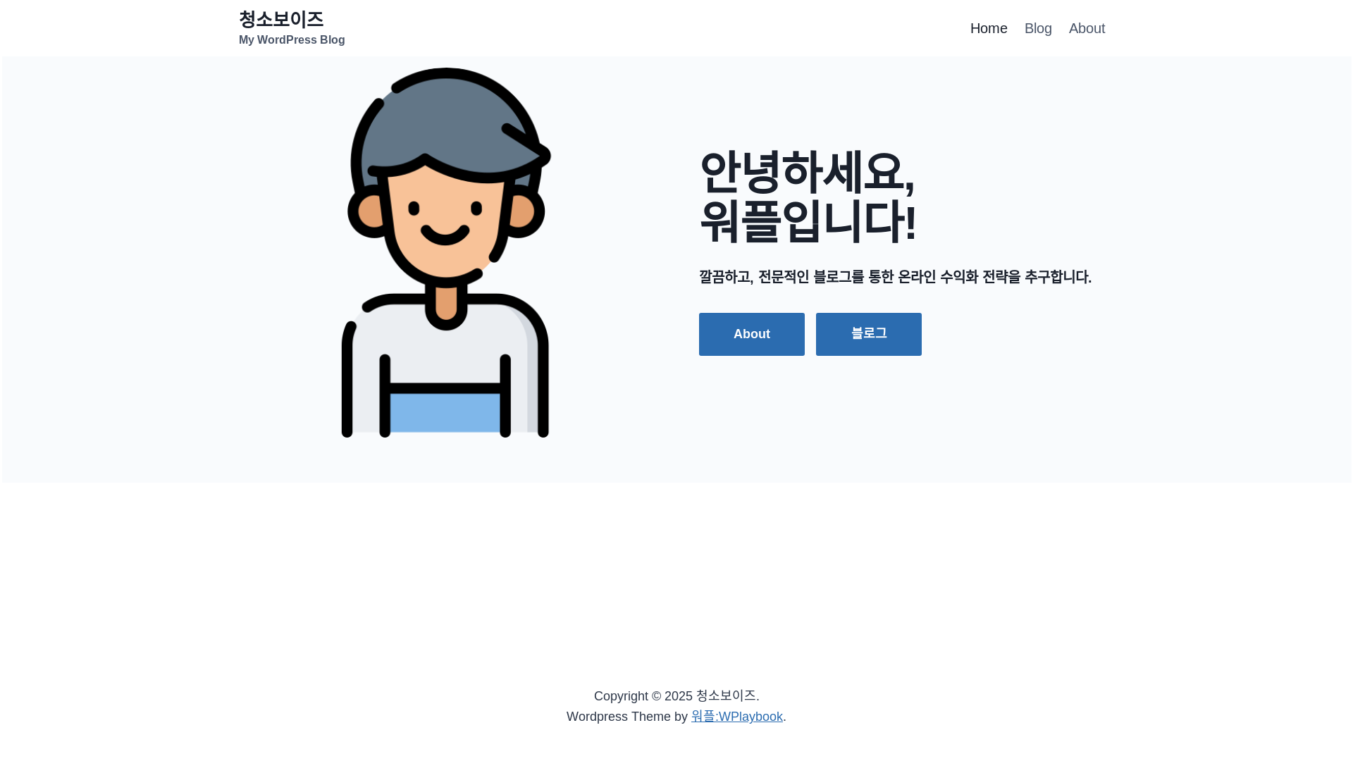 website screenshot of https://procleanboys.com/