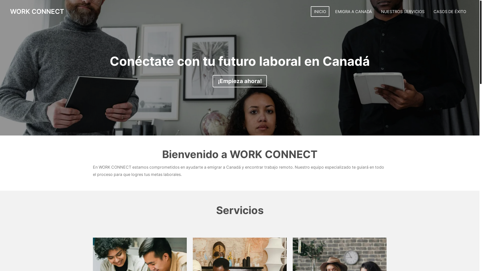 website screenshot of https://workconnect.es/