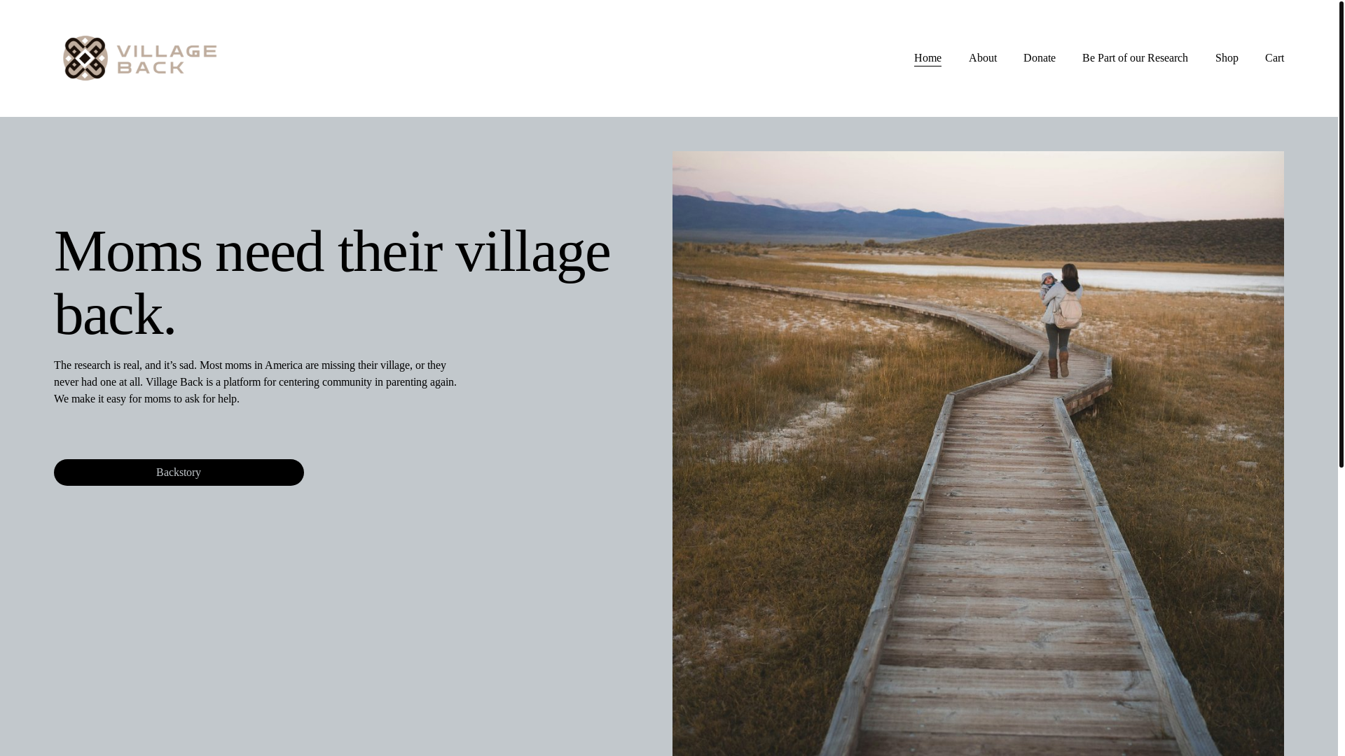 website screenshot of https://villageback.org/