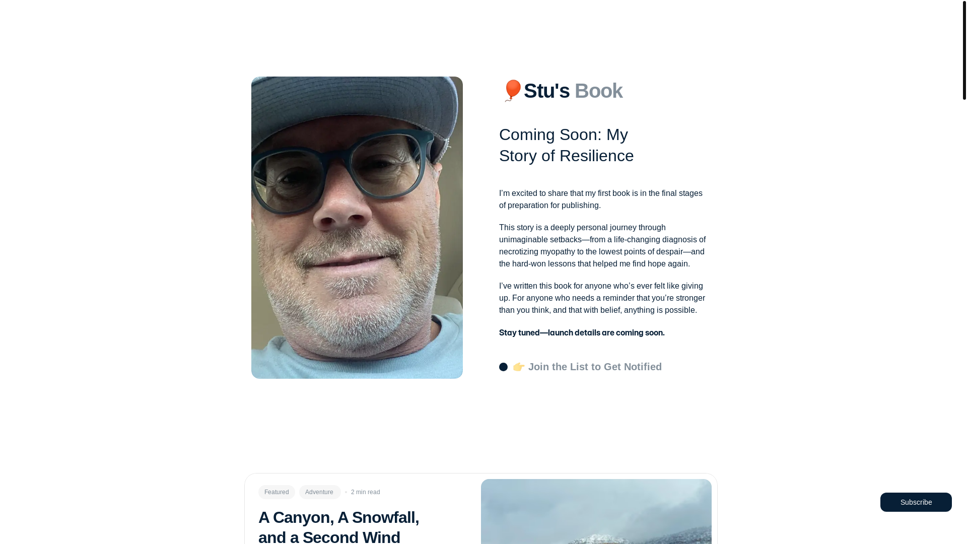 website screenshot of https://thepainofatinypill.com/
