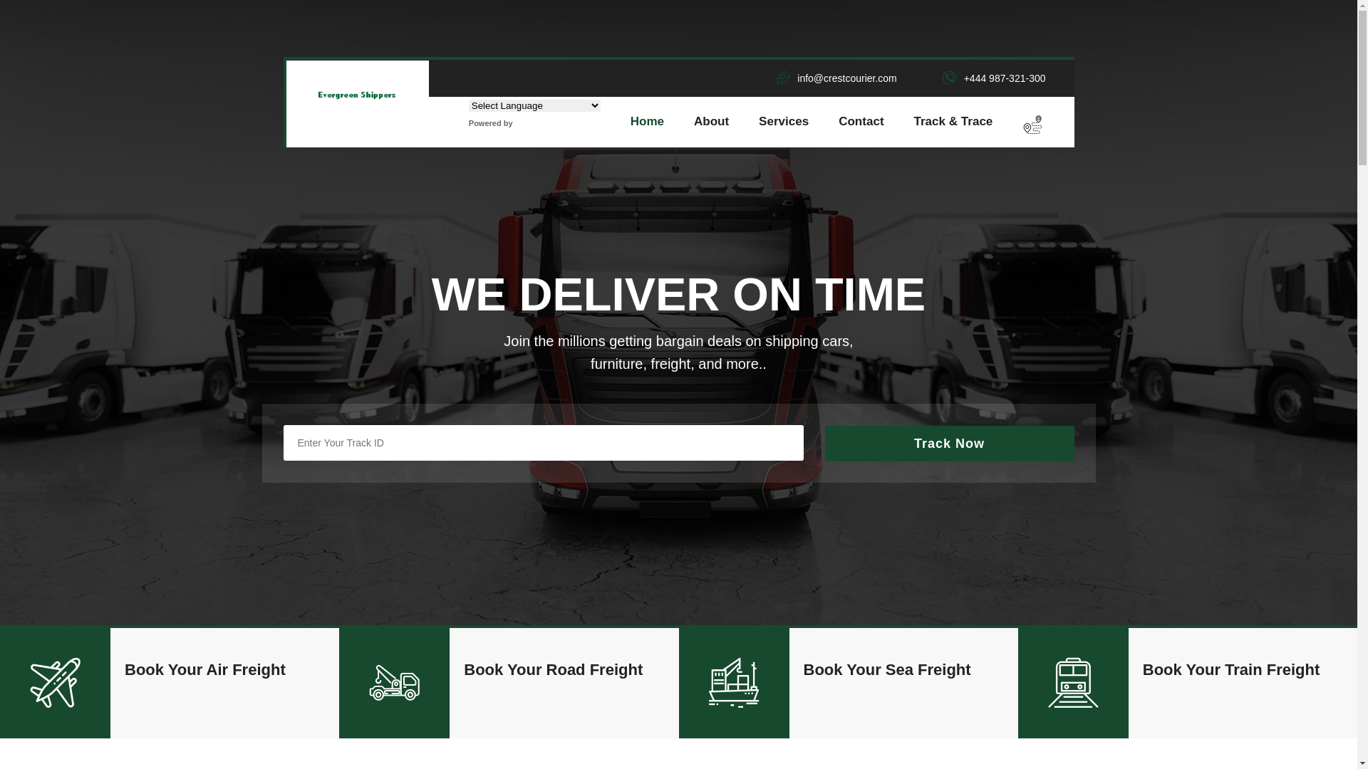 website screenshot of https://evagreenship.online/