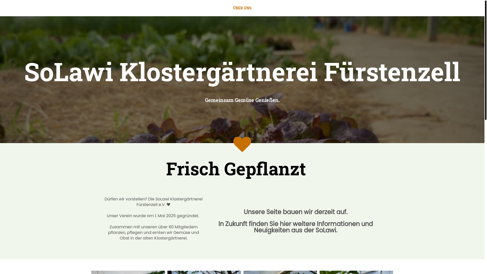 website screenshot of https://solawi-fuerstenzell.de/