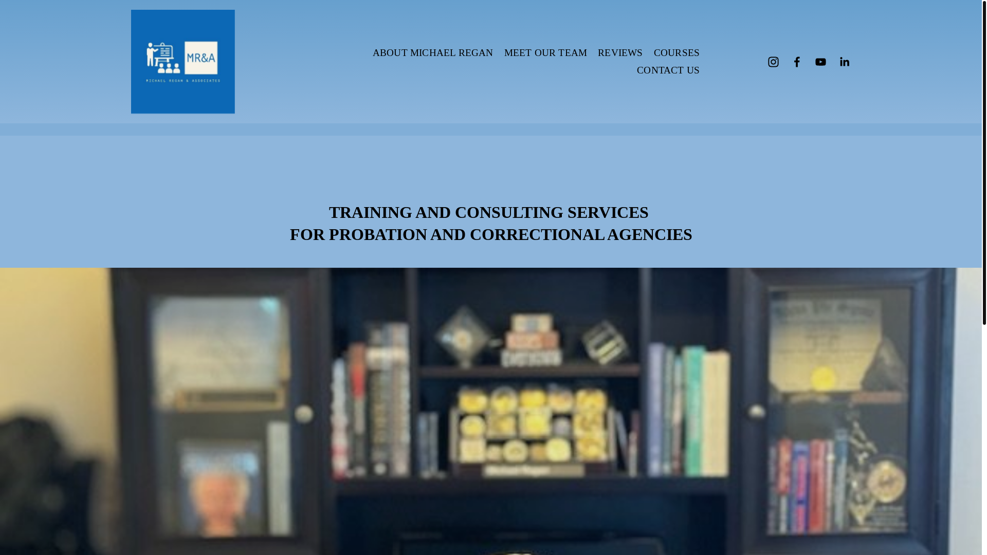 website screenshot of https://michaelreganandassociates.org/
