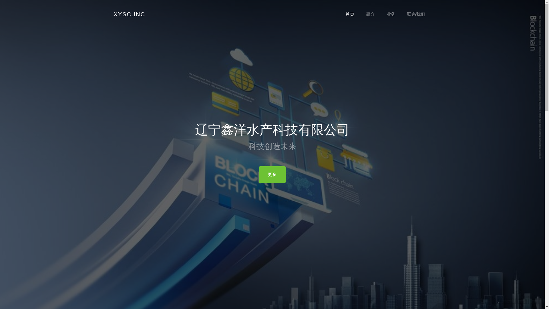 website screenshot of https://xinyangltd.cn/