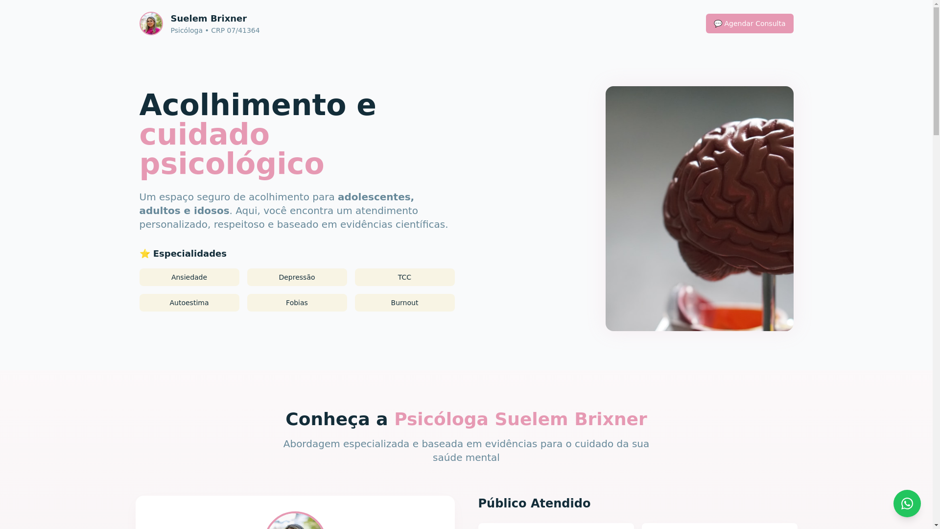 website screenshot of https://suelembrixner.com.br/