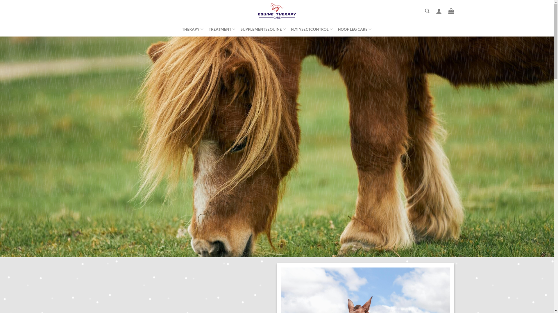 website screenshot of https://skiequipmentukco.com/