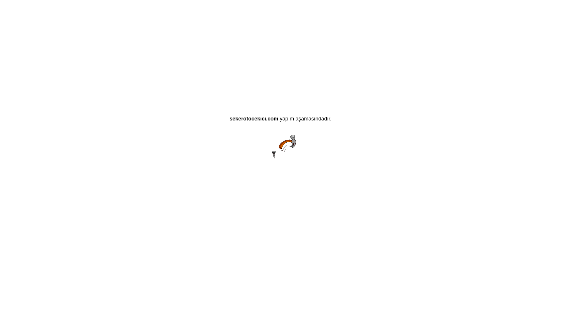 website screenshot of https://sekerotocekici.com/