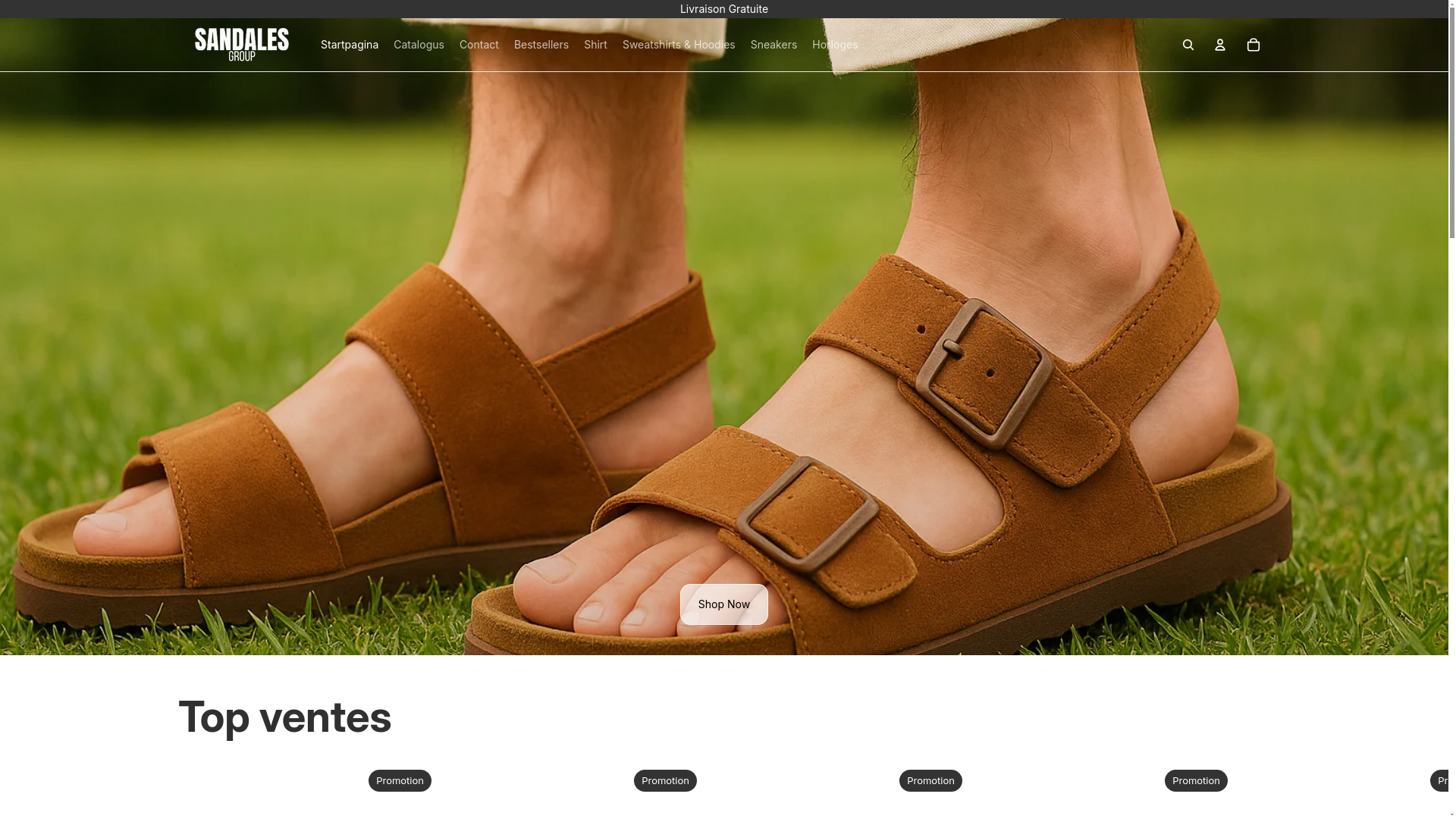 website screenshot of https://sandalegroup.com/
