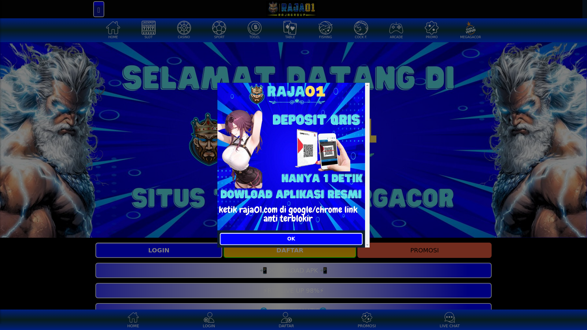 website screenshot of https://raja01hs.shop/