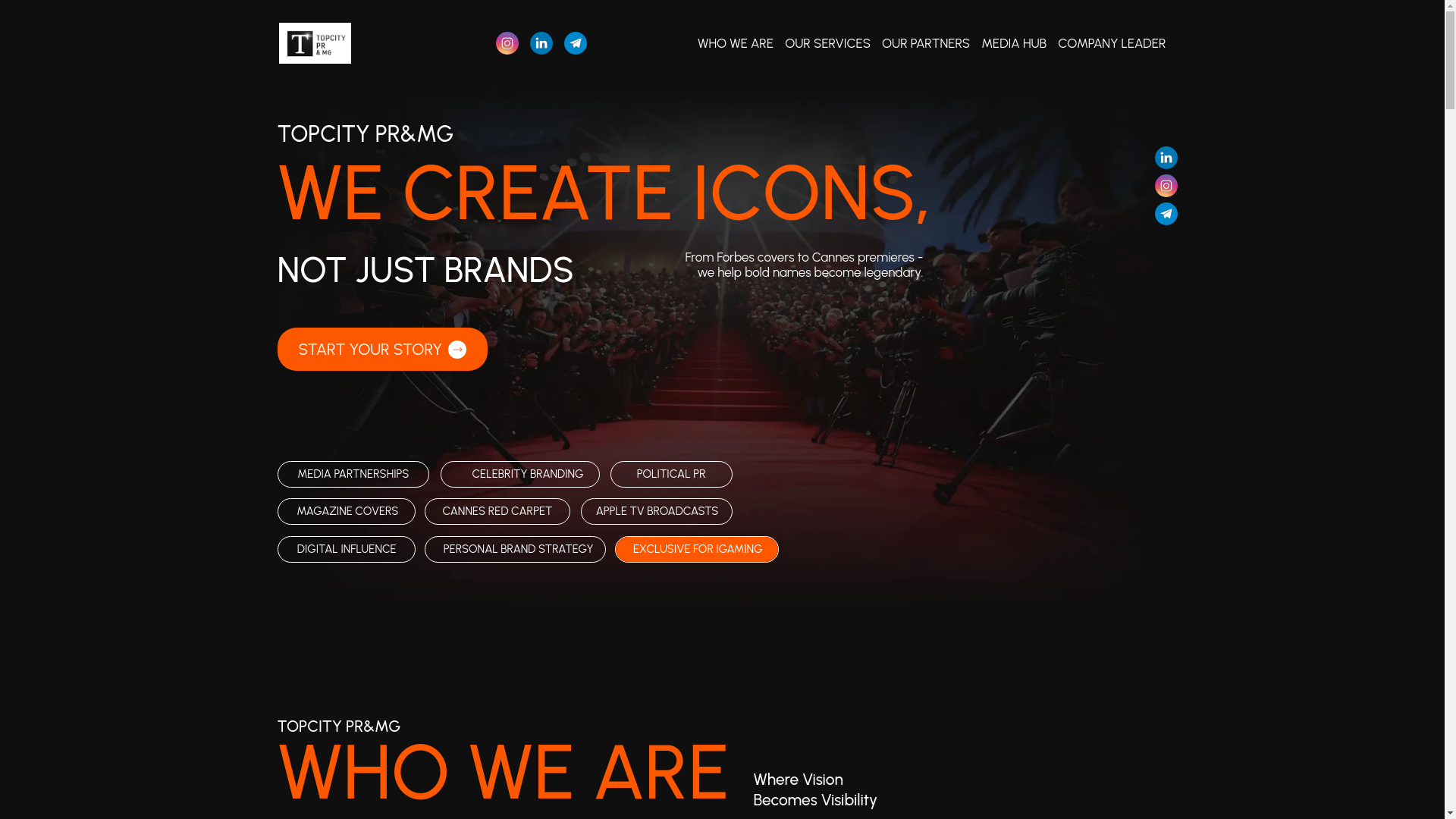 website screenshot of https://topcitypr.com/