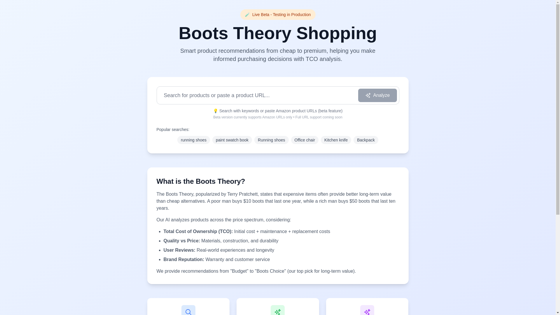 website screenshot of https://bootstheory.shop/