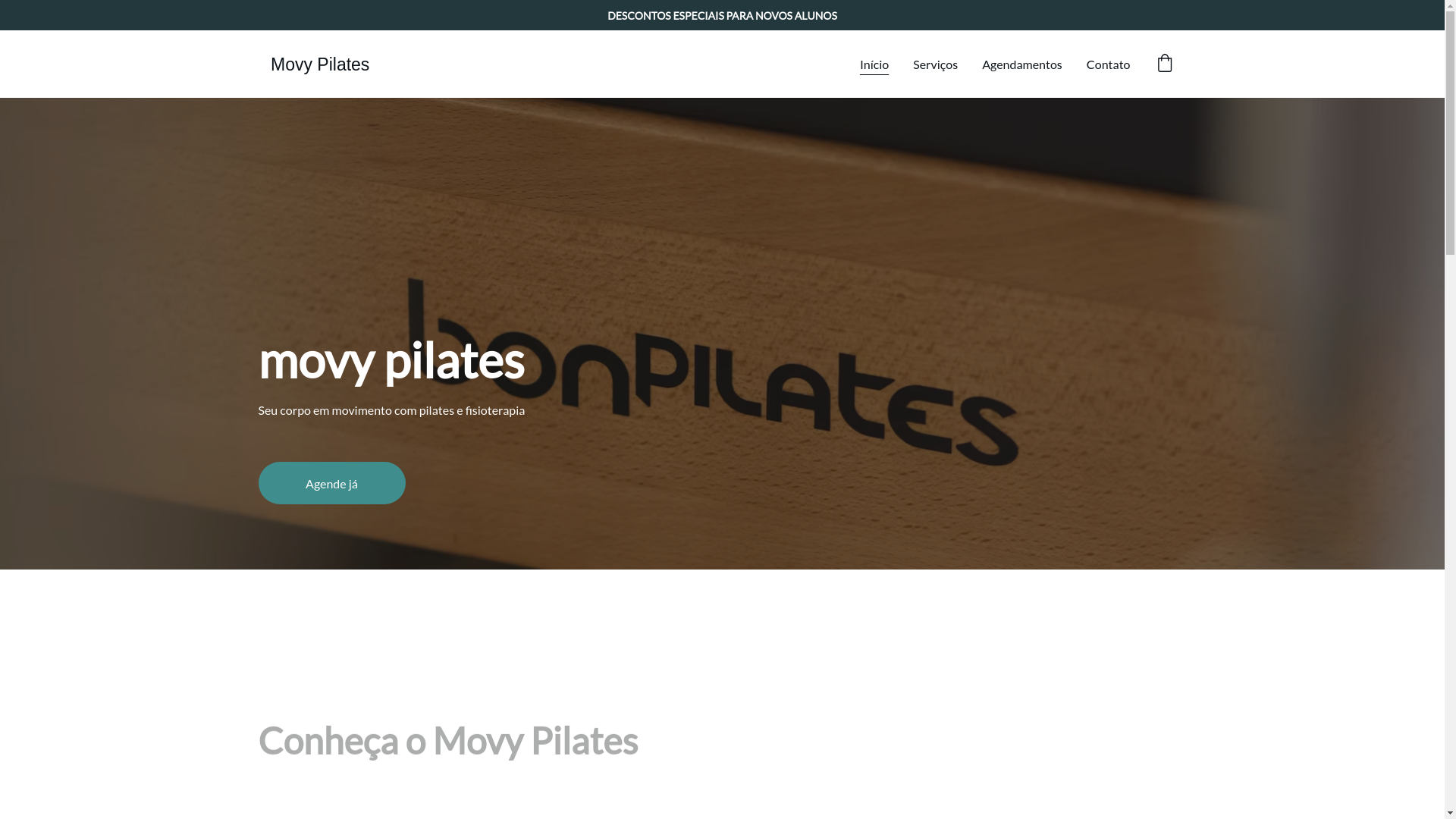 website screenshot of https://movypilates.com/