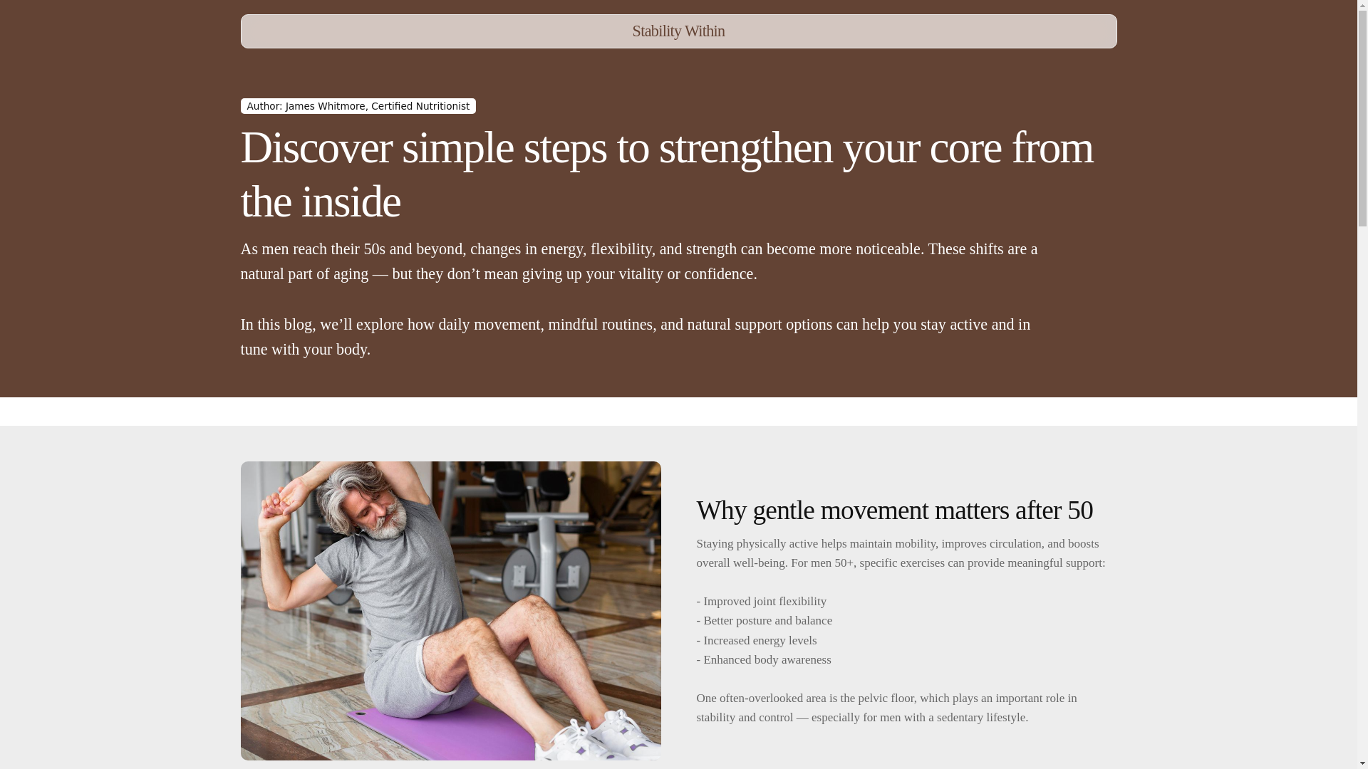 website screenshot of https://stabilitywithin.info/