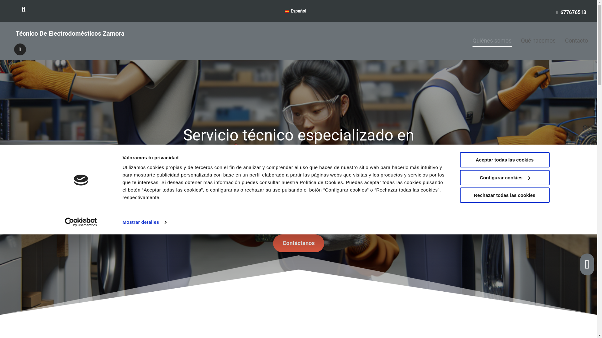 website screenshot of https://tecnicoelectrodomesticoszamora.es/