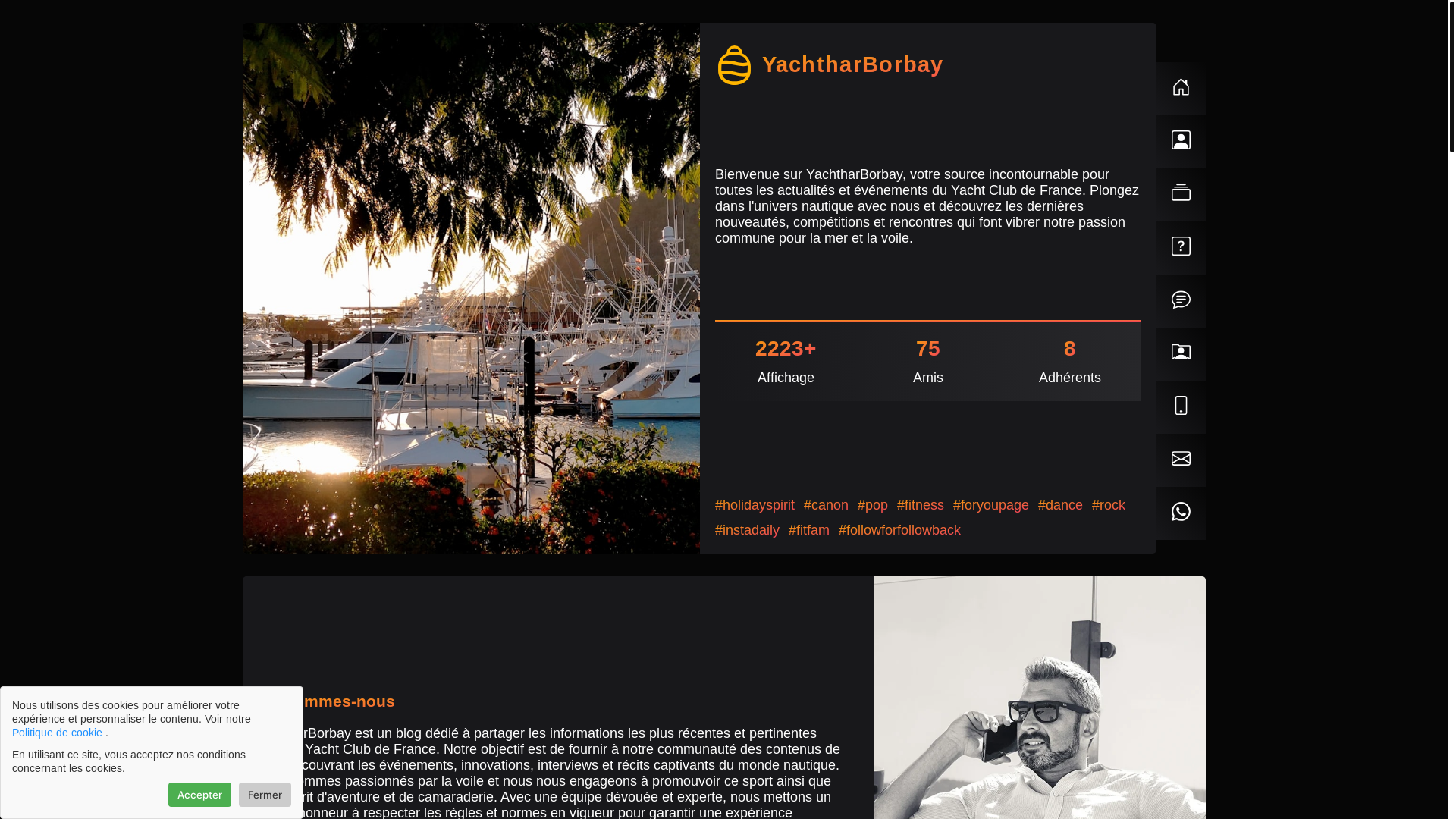 website screenshot of https://yachtharborbay.com/