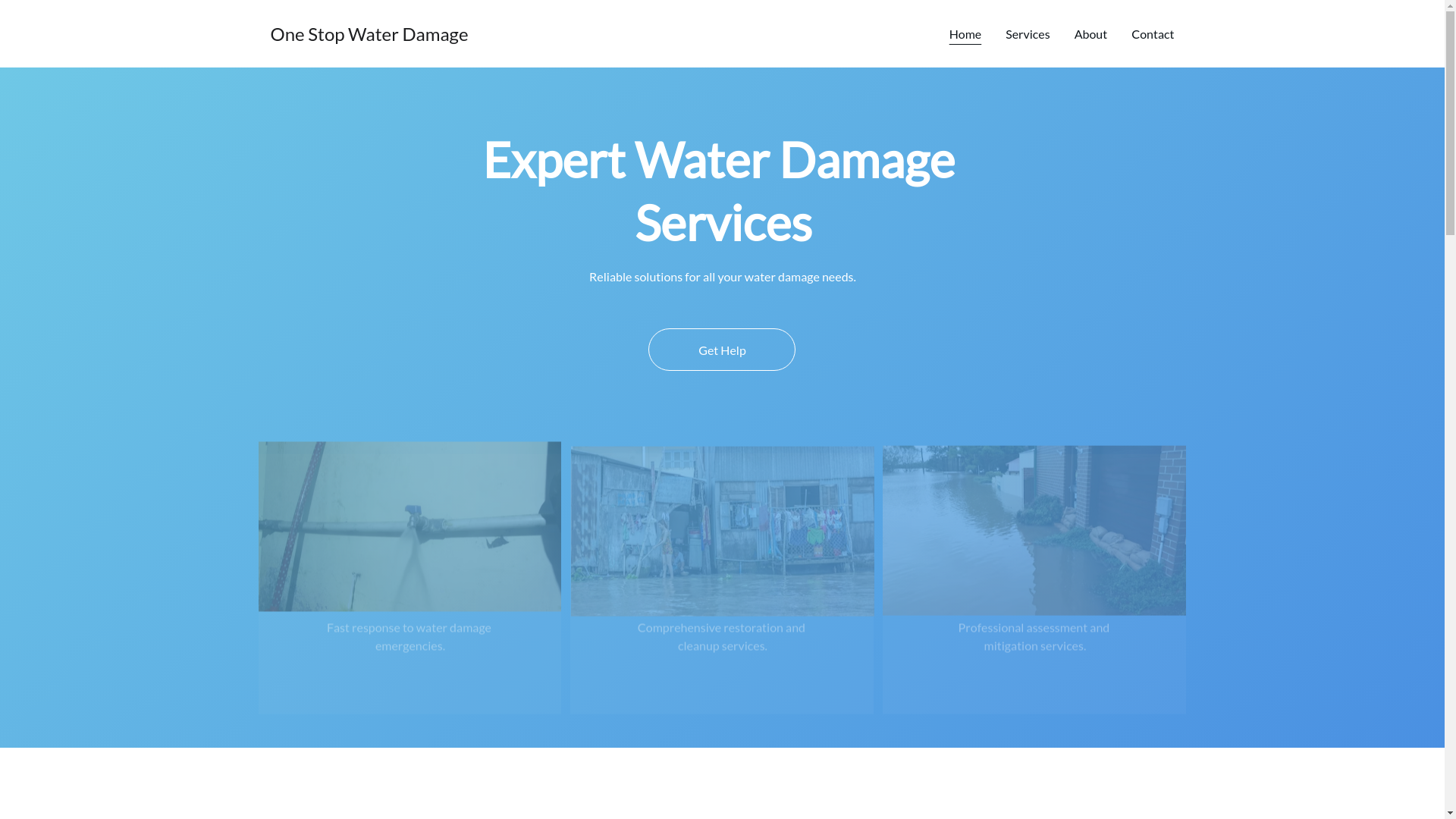 website screenshot of https://onestopwaterdamage.site/