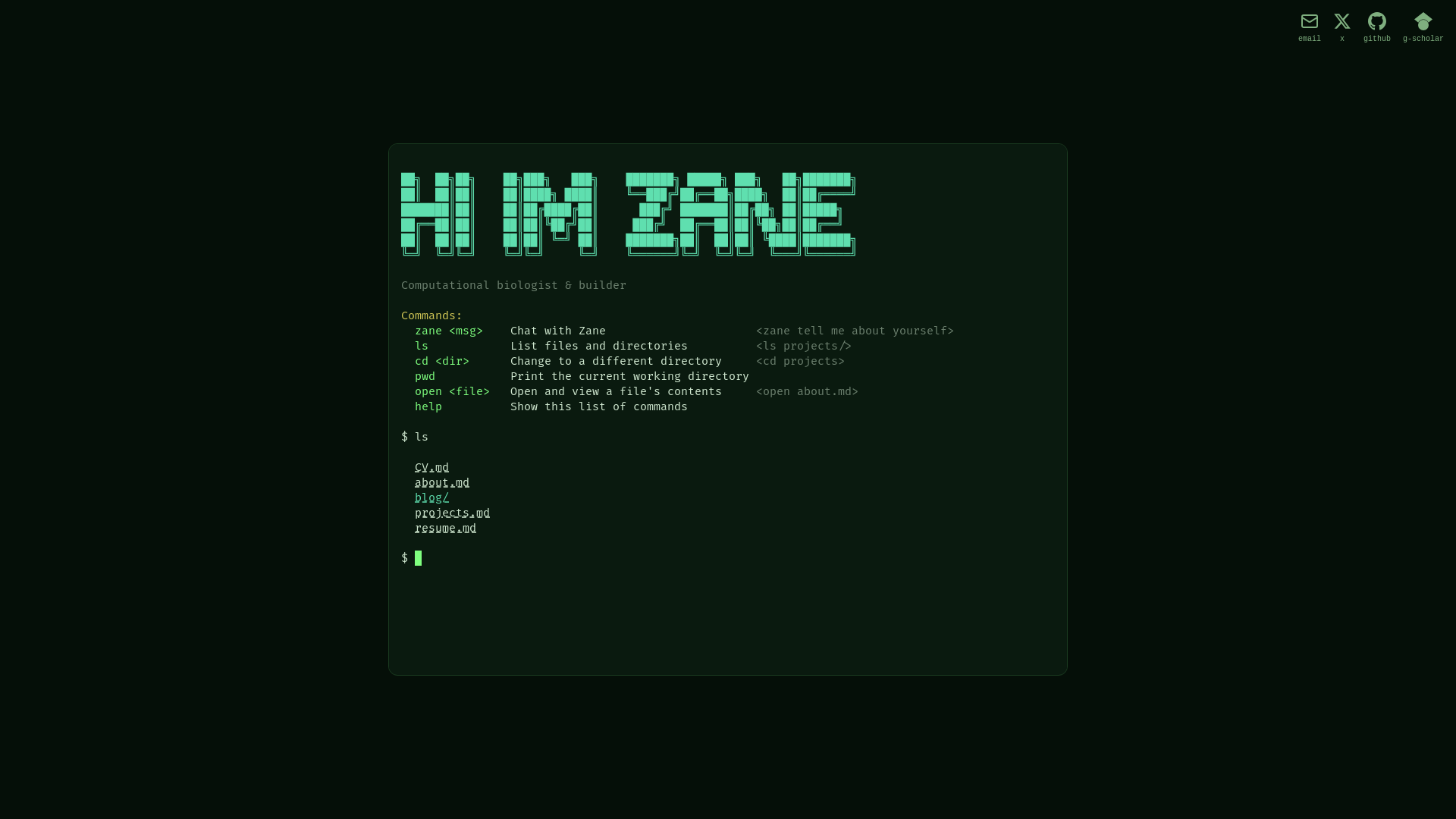 website screenshot of https://zaneko.ch/