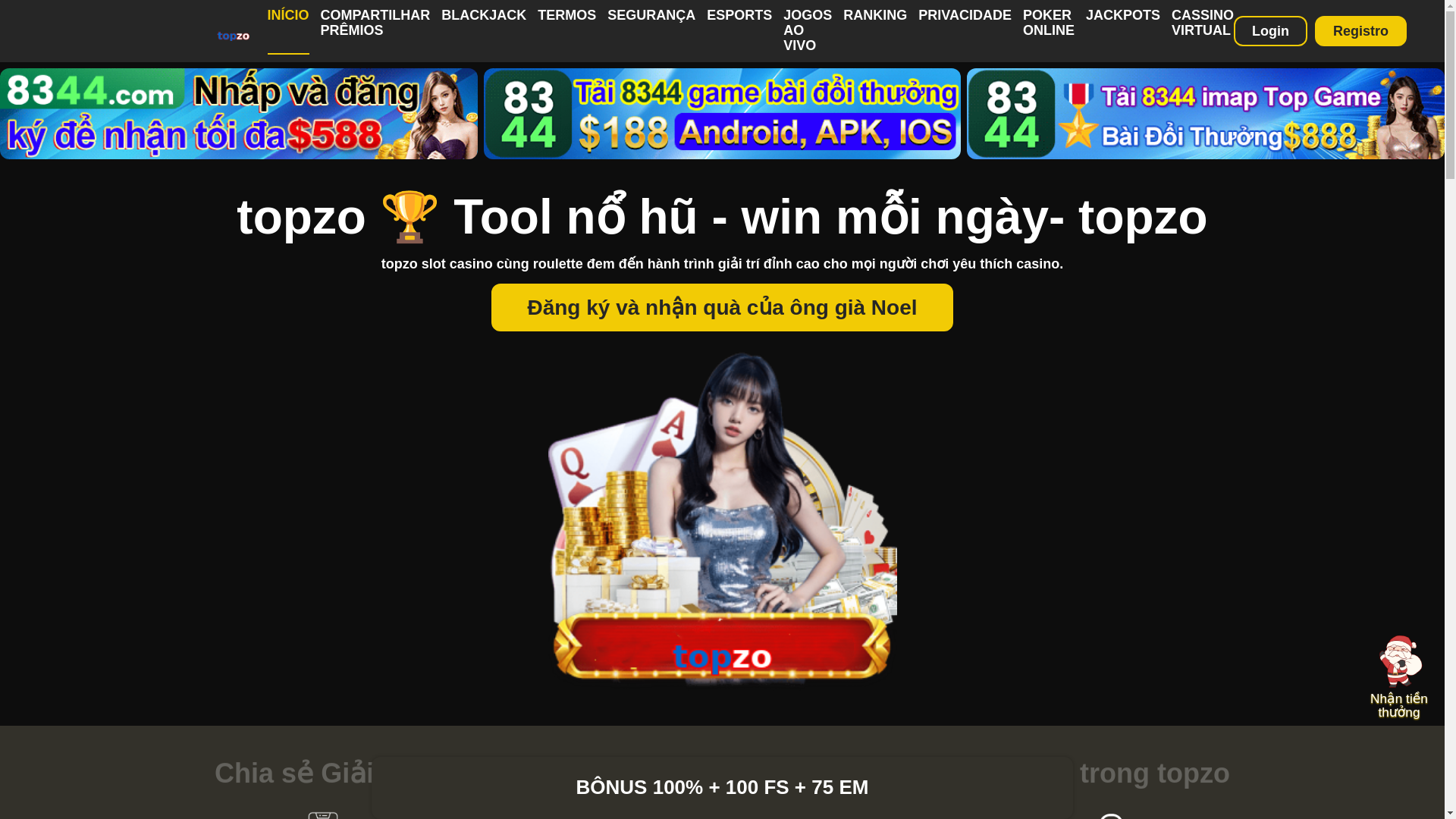 website screenshot of https://net13c.com/