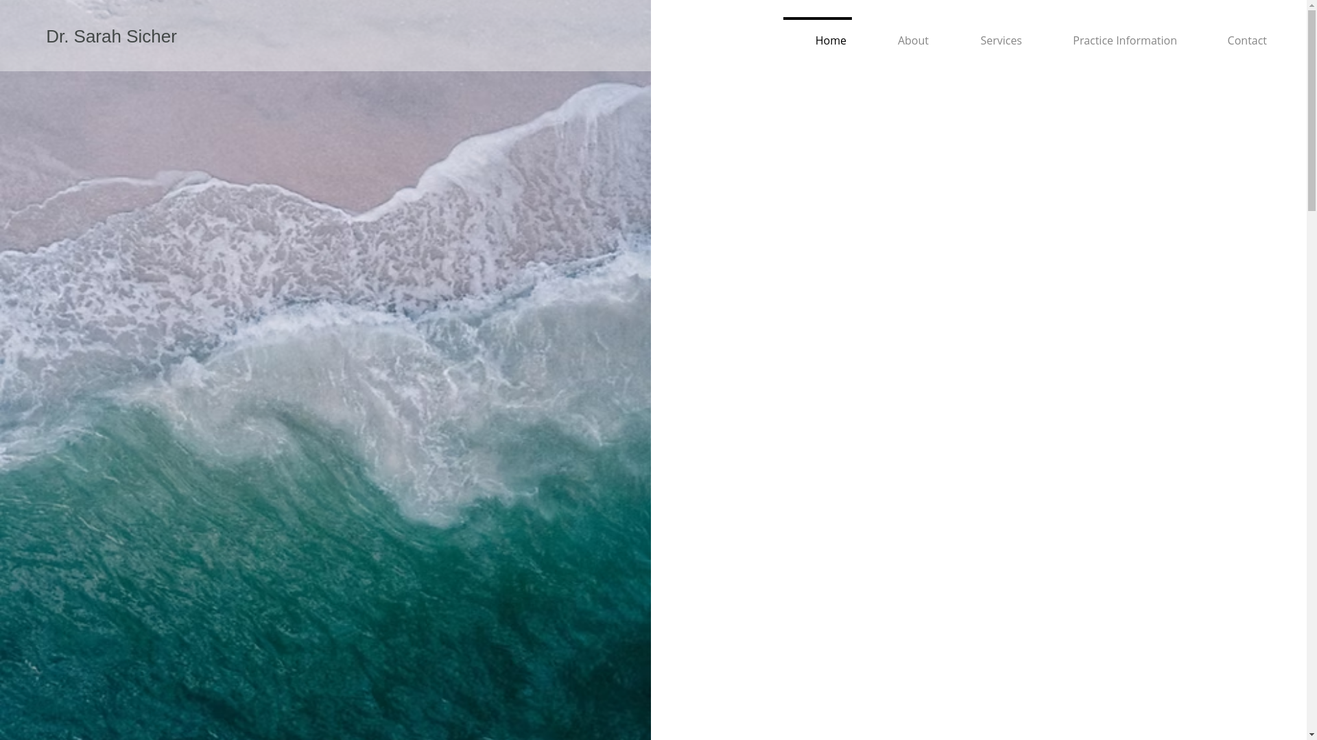 website screenshot of https://elysiantmscenter.com/