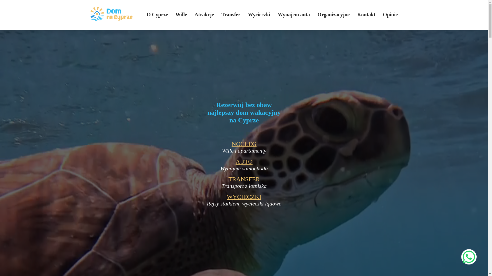 website screenshot of https://domnacyprze.com/