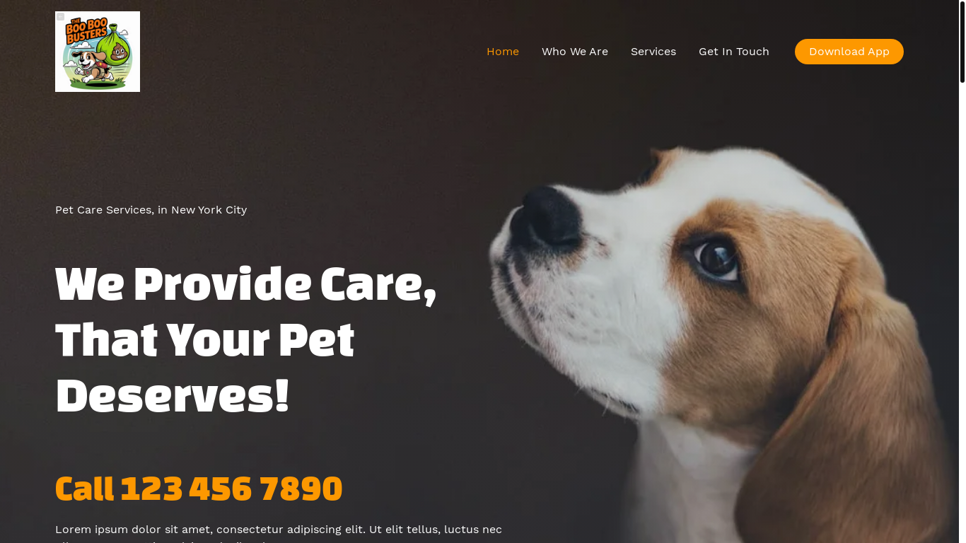 website screenshot of https://thebooboobusters.com/
