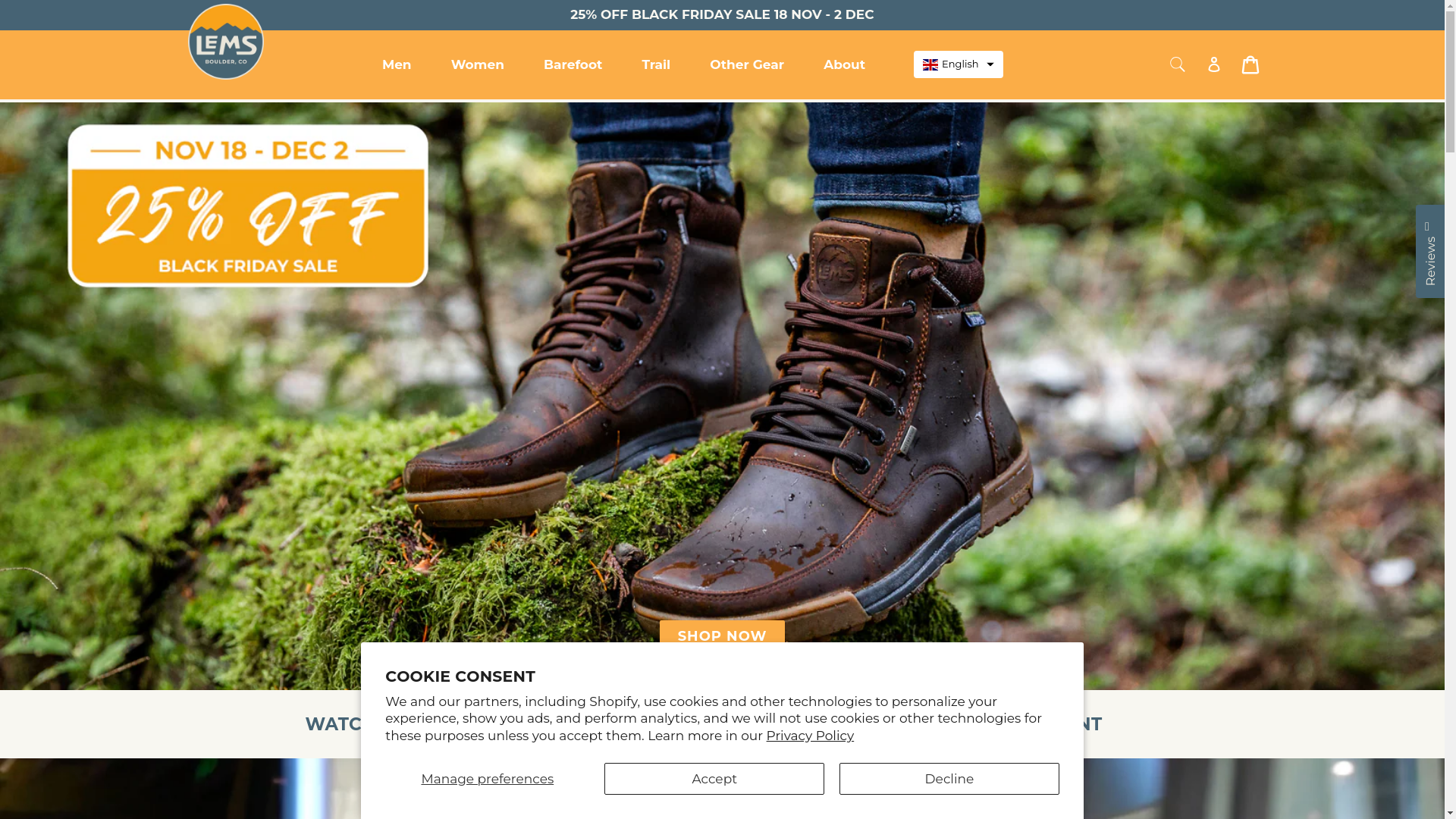 website screenshot of https://lemsshoes.eu/