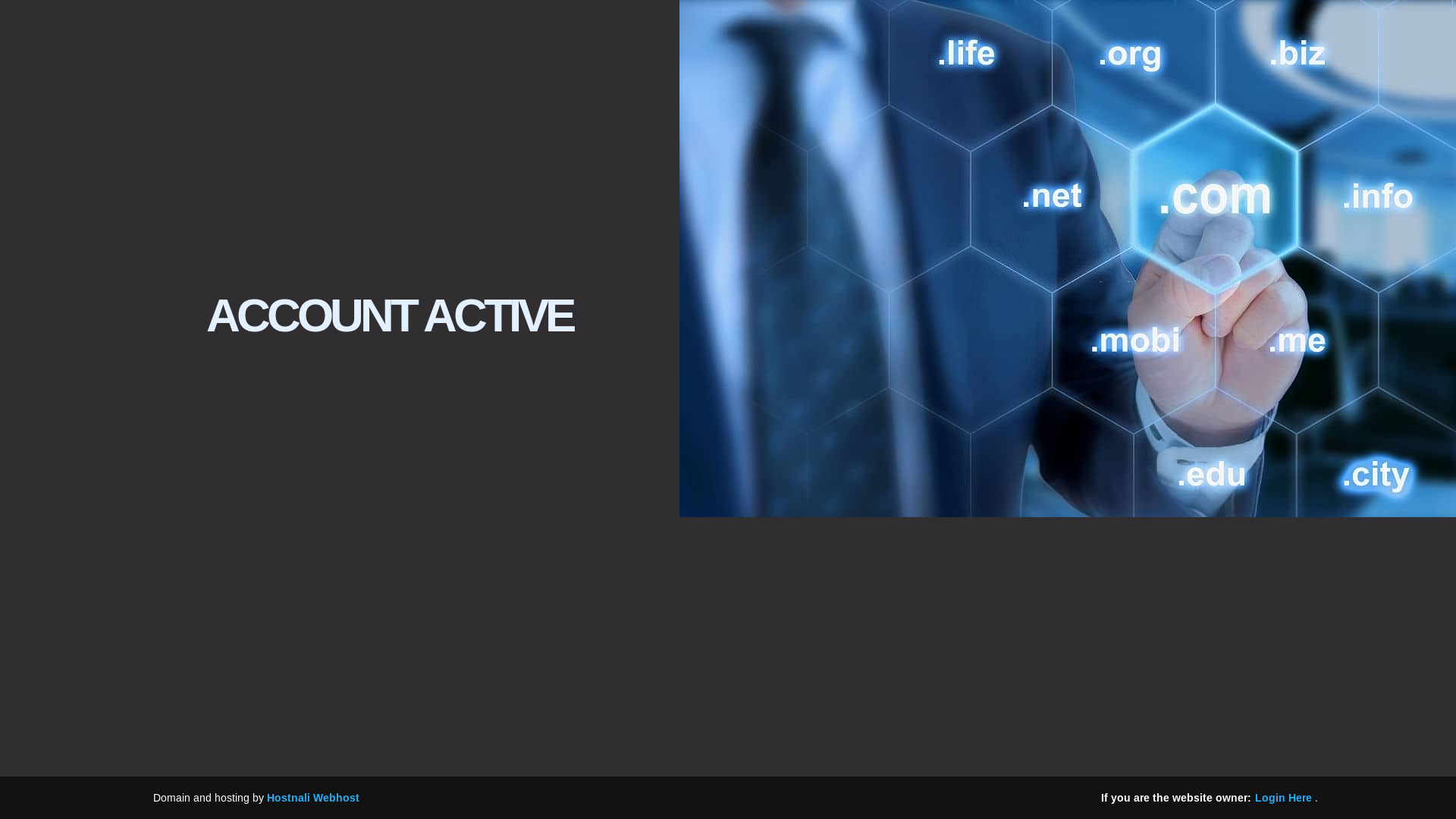 website screenshot of https://tourluxiasafaris.co.ke/