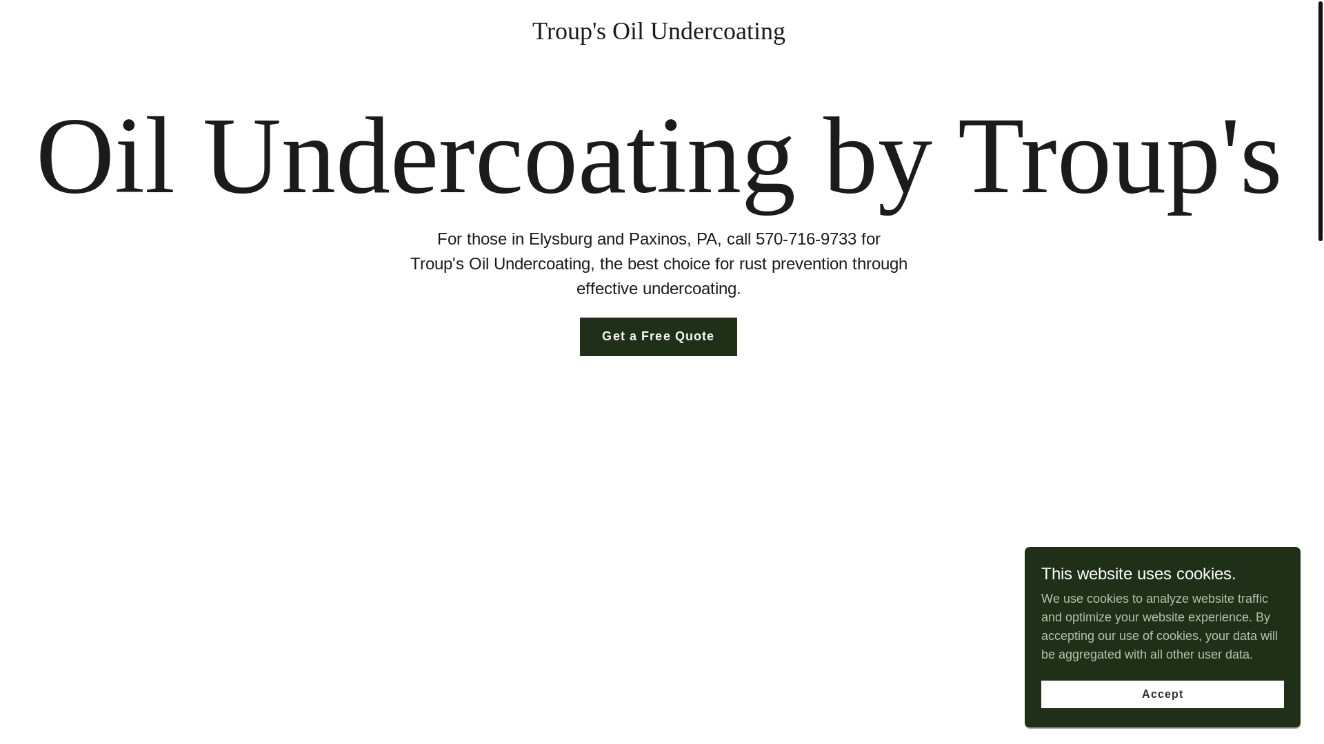 website screenshot of https://elysburgundercoating.com/
