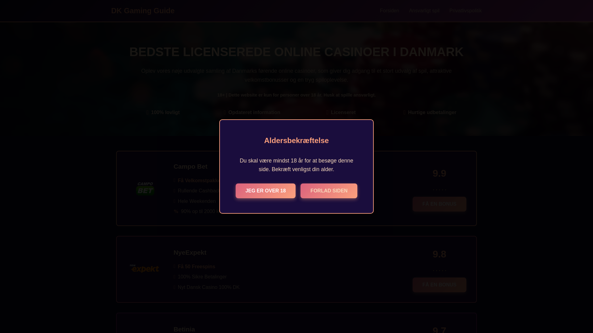 website screenshot of https://dkgamingguide.com/