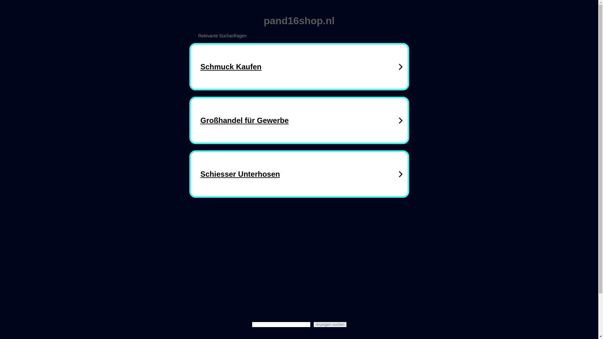website screenshot of https://pand16shop.nl/