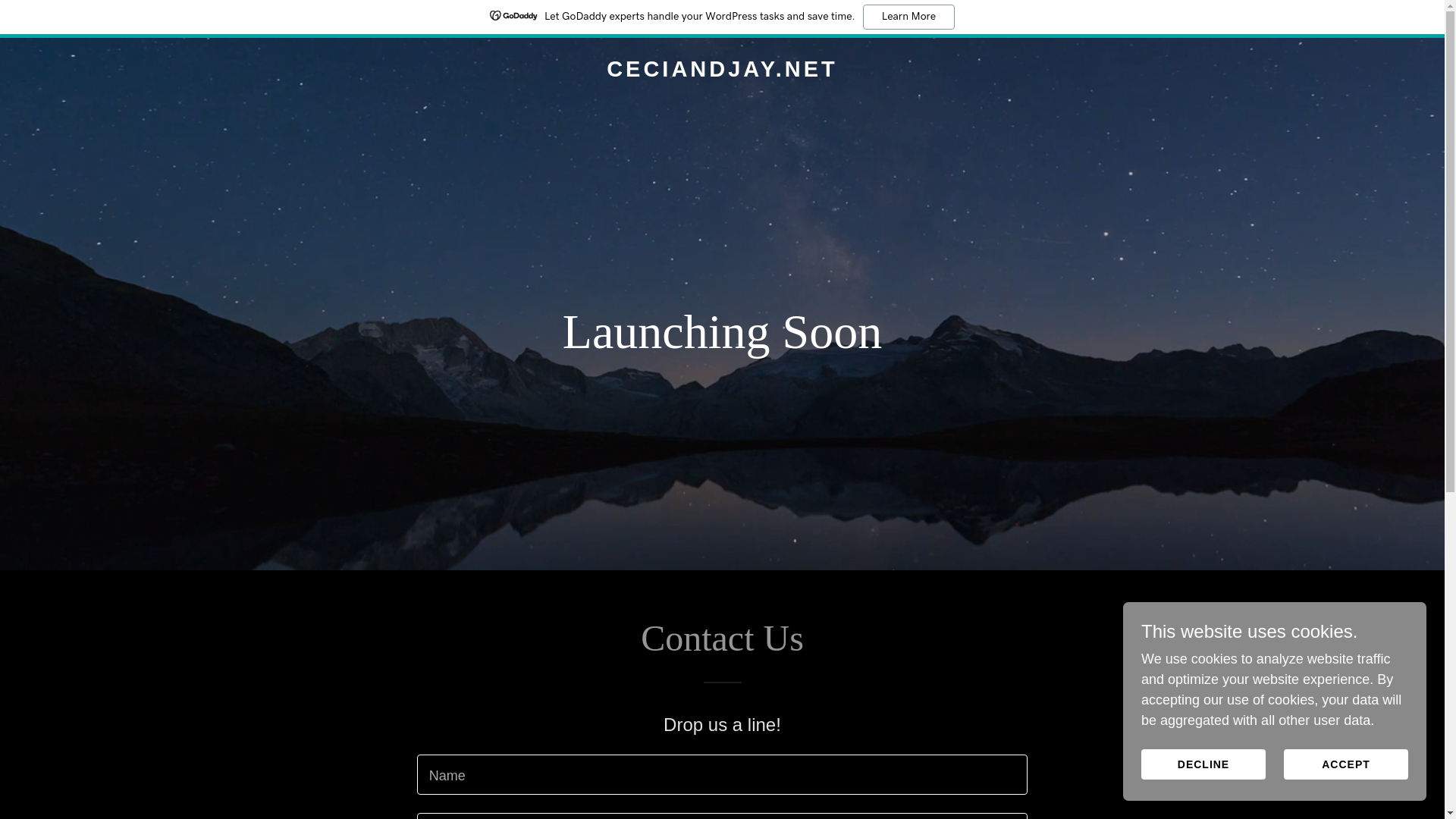 website screenshot of https://ceciandjay.net/