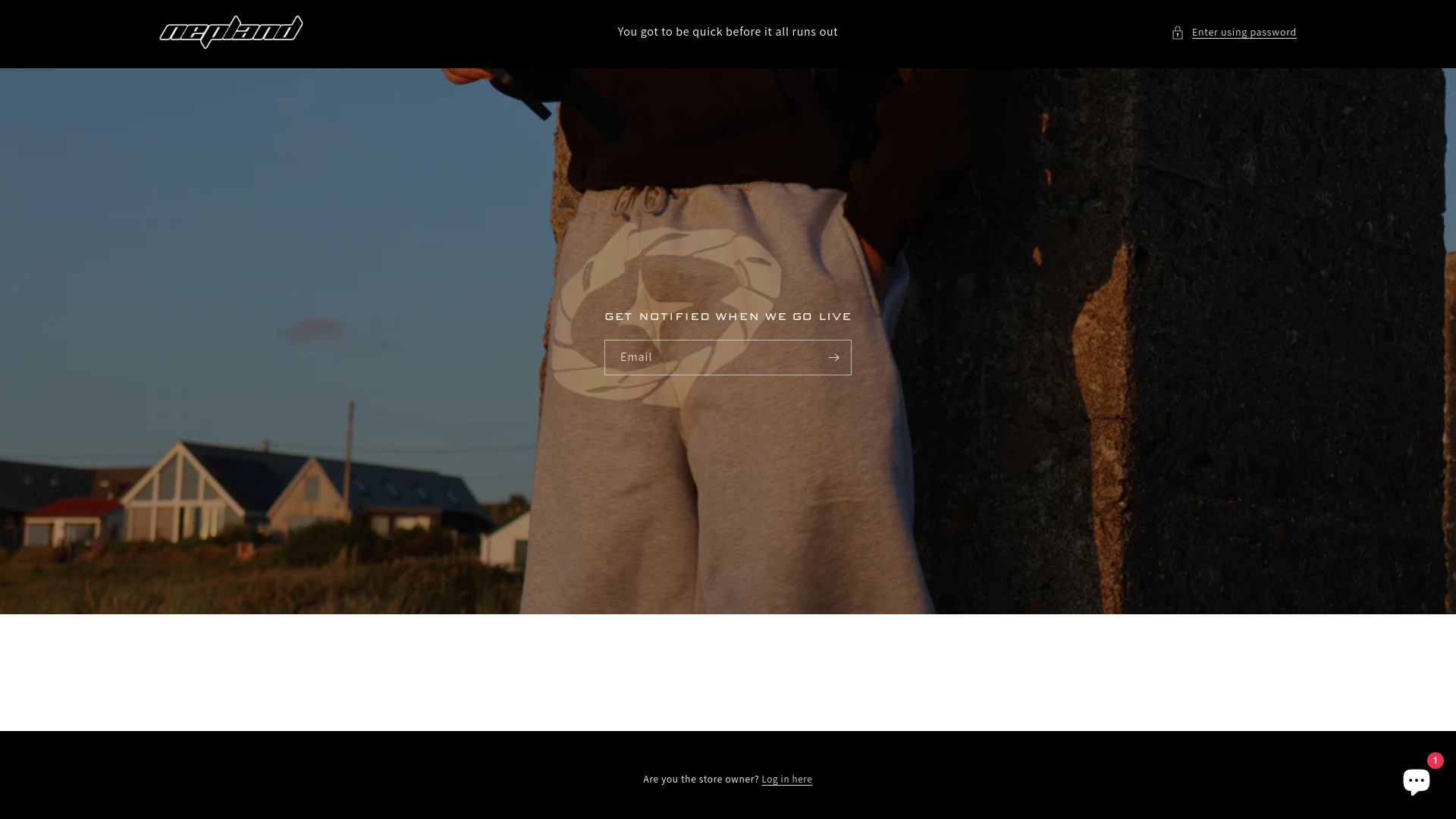 website screenshot of https://nepland.store/