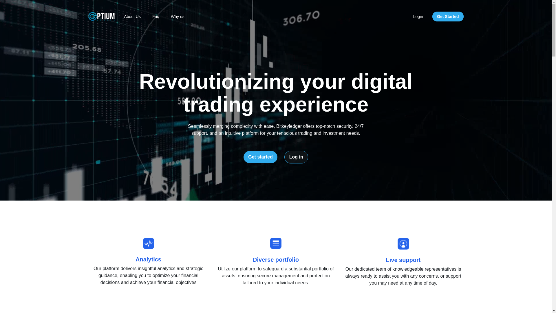website screenshot of https://bitkeyledger.com/