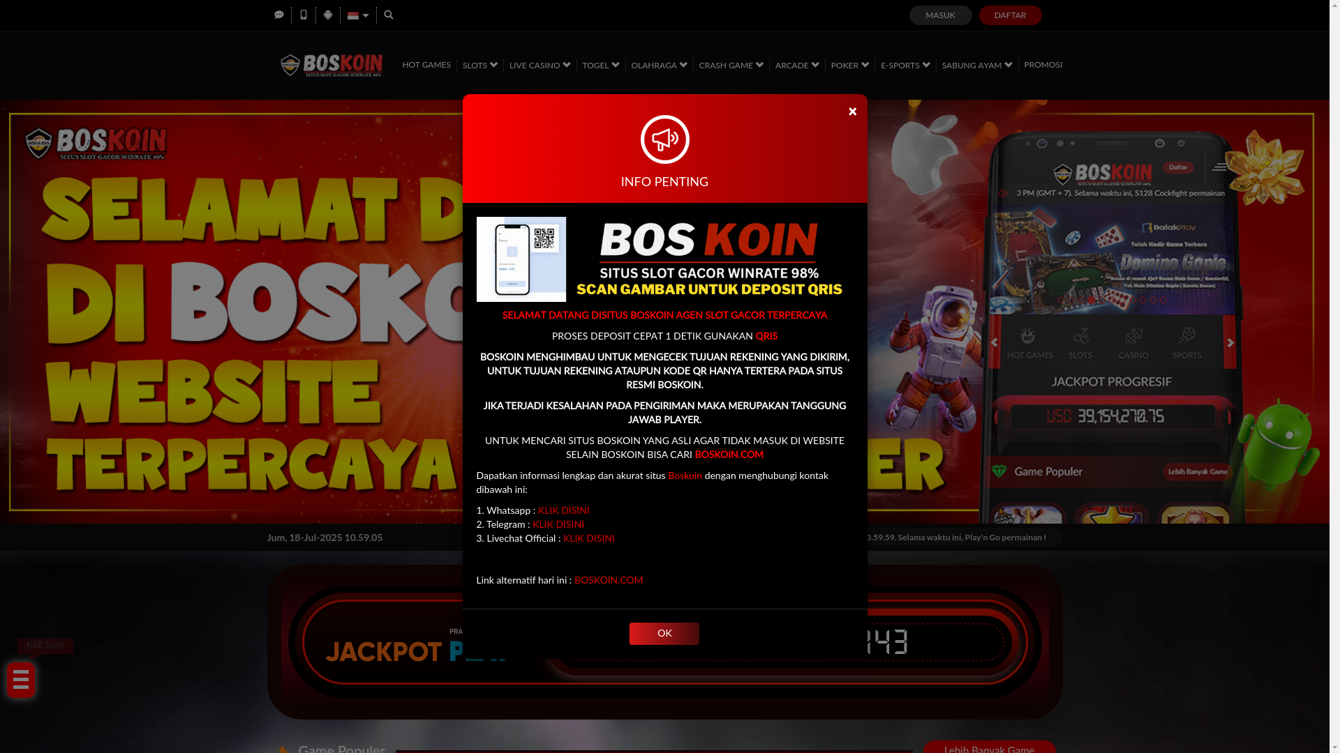 website screenshot of https://boskoin-asli.com/