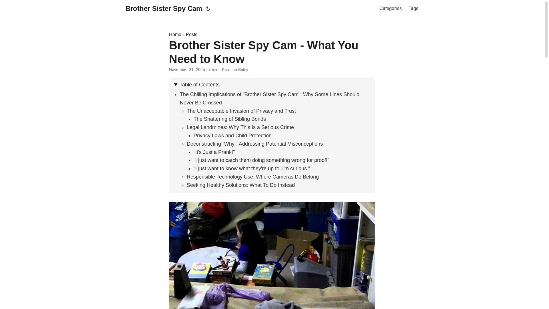 website screenshot of https://brothersisterspycam5.pages.dev/