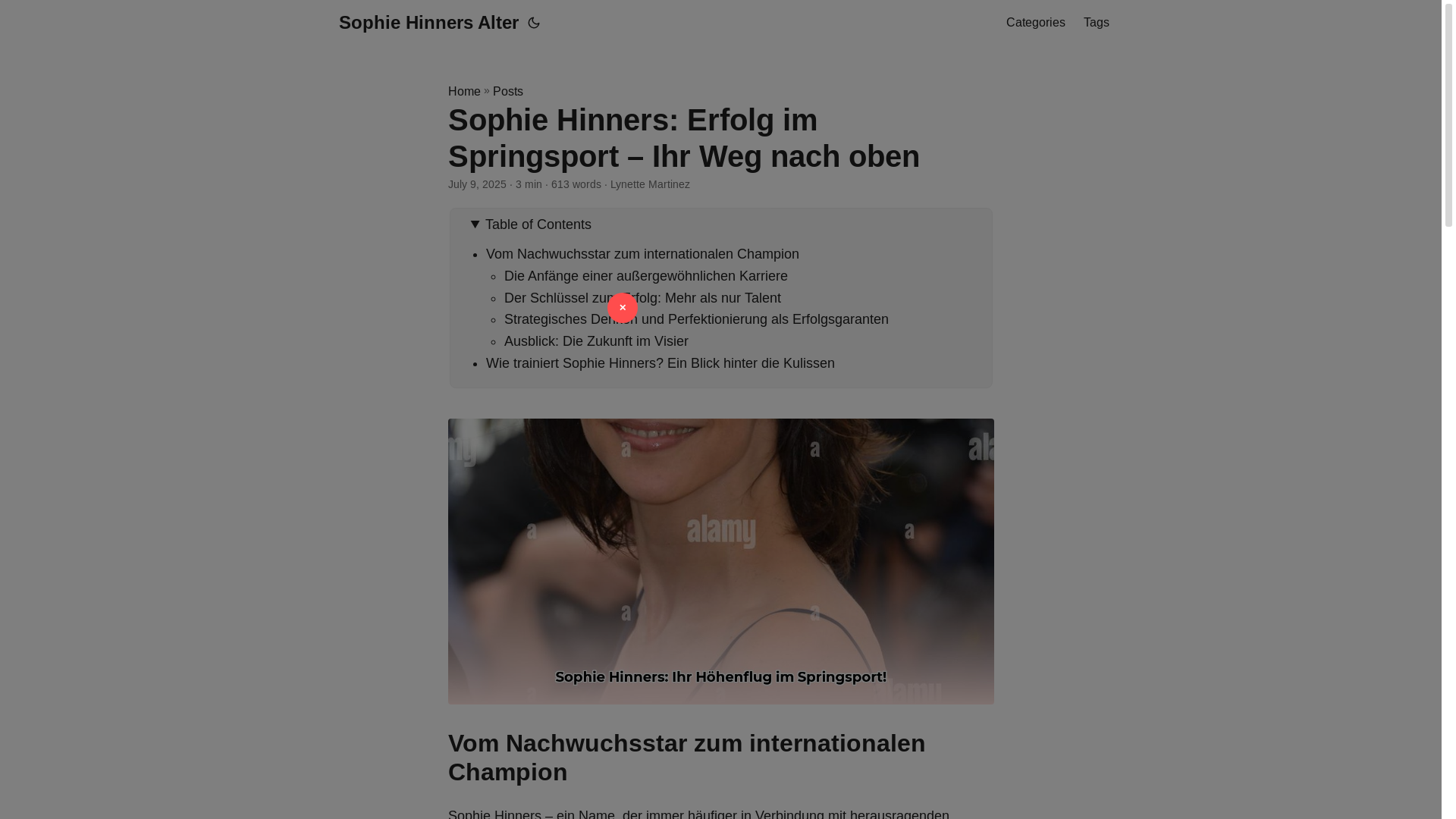 website screenshot of https://sophie-hinners-alter.pages.dev/