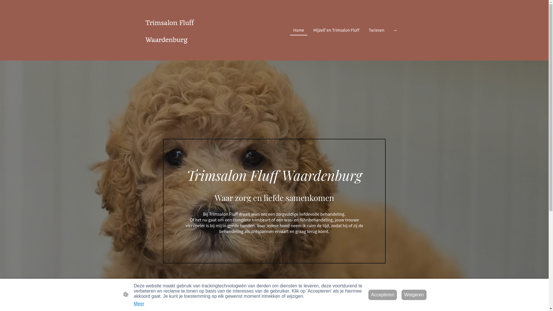 website screenshot of https://trimsalonfluff-waardenburg.nl/