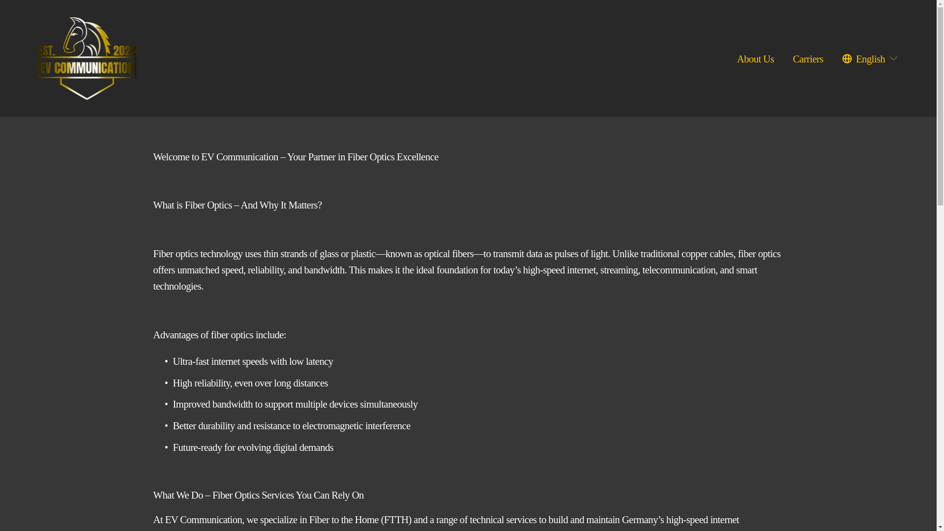 website screenshot of https://evcommunication.de/