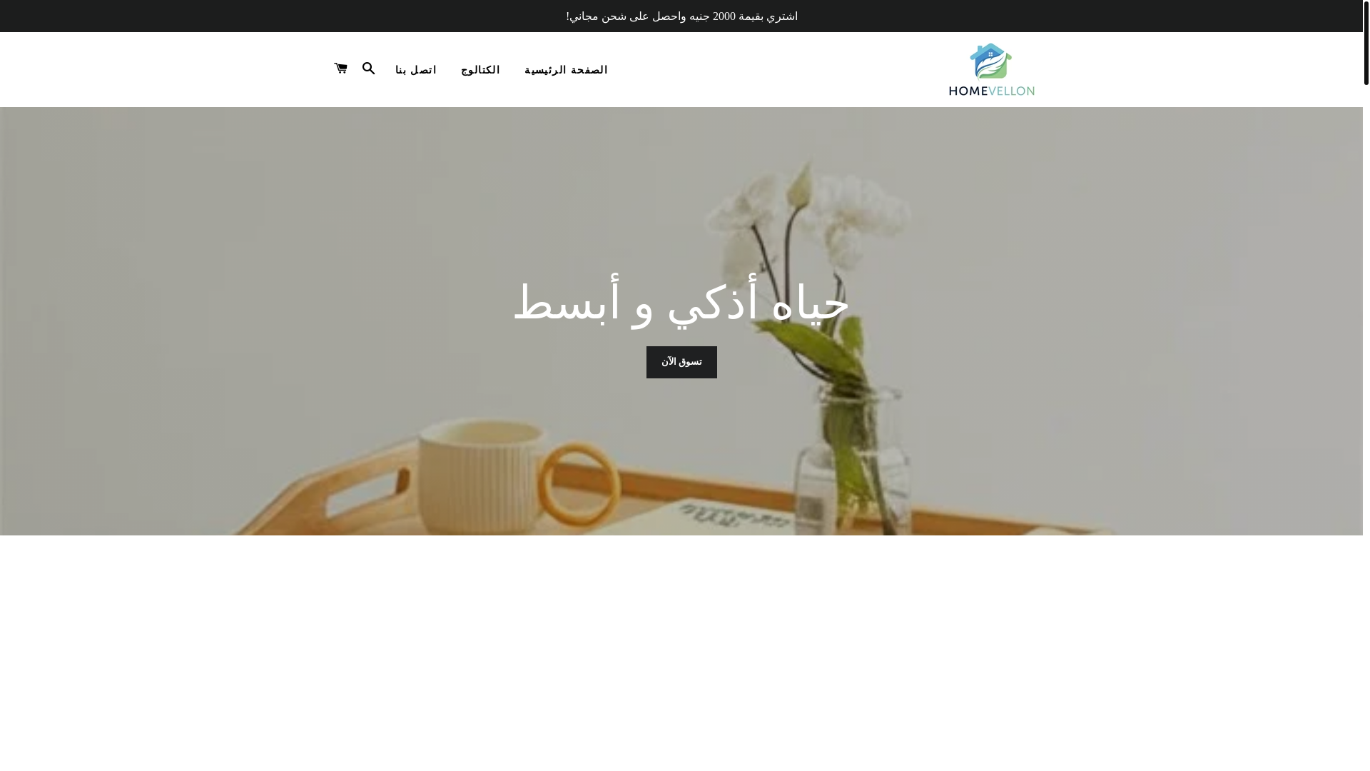 website screenshot of https://homevellon.com/