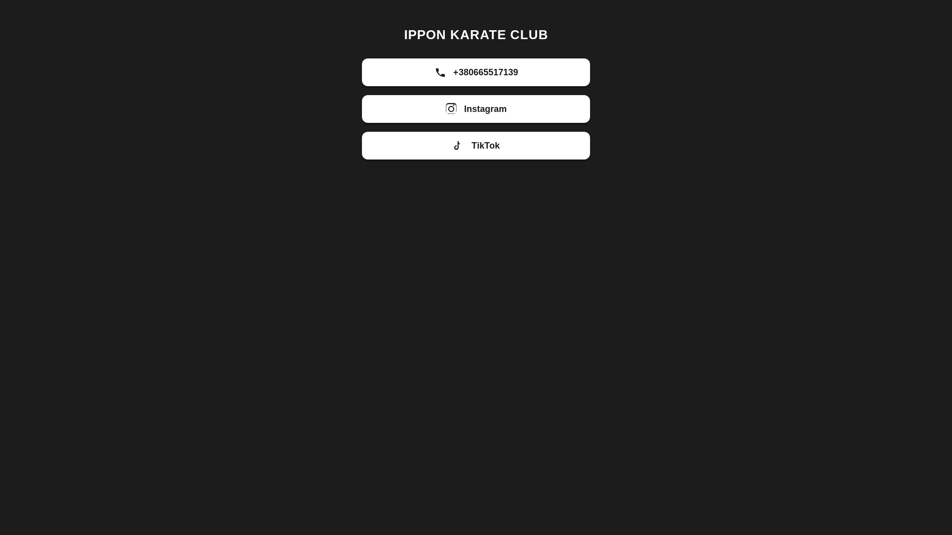 website screenshot of https://ipponkarate.xyz/