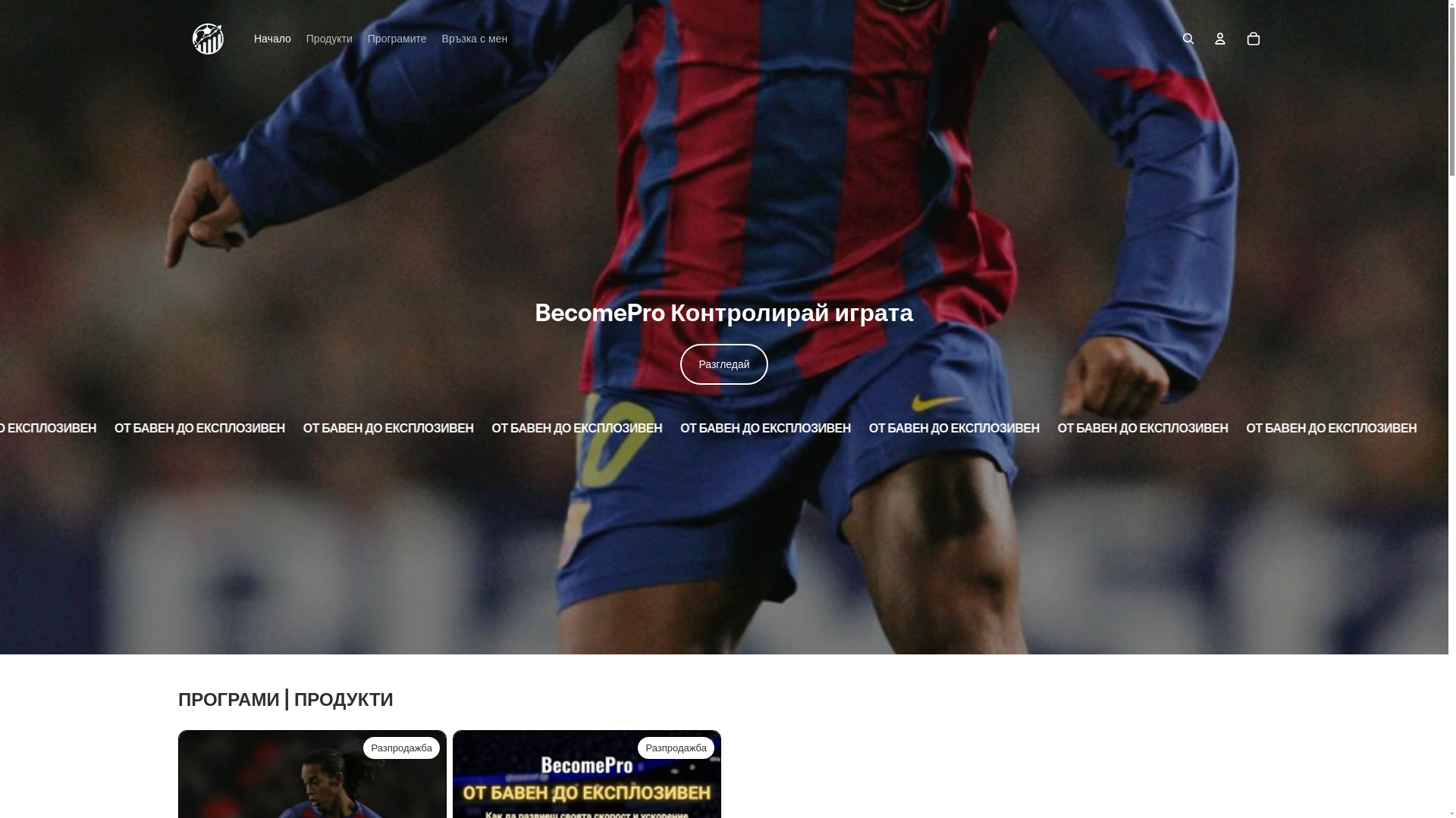 website screenshot of https://becomeproffesional.com/