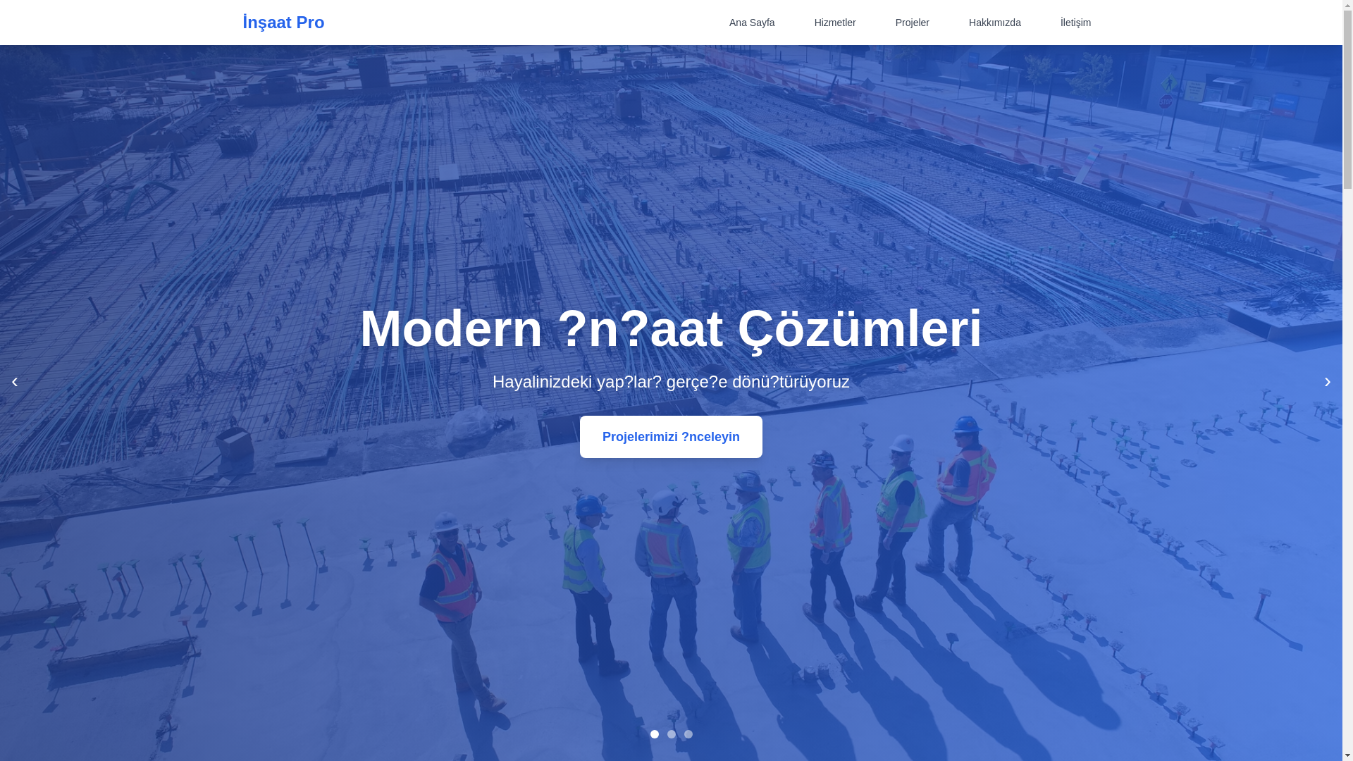 website screenshot of https://duvainsaat.com.tr/