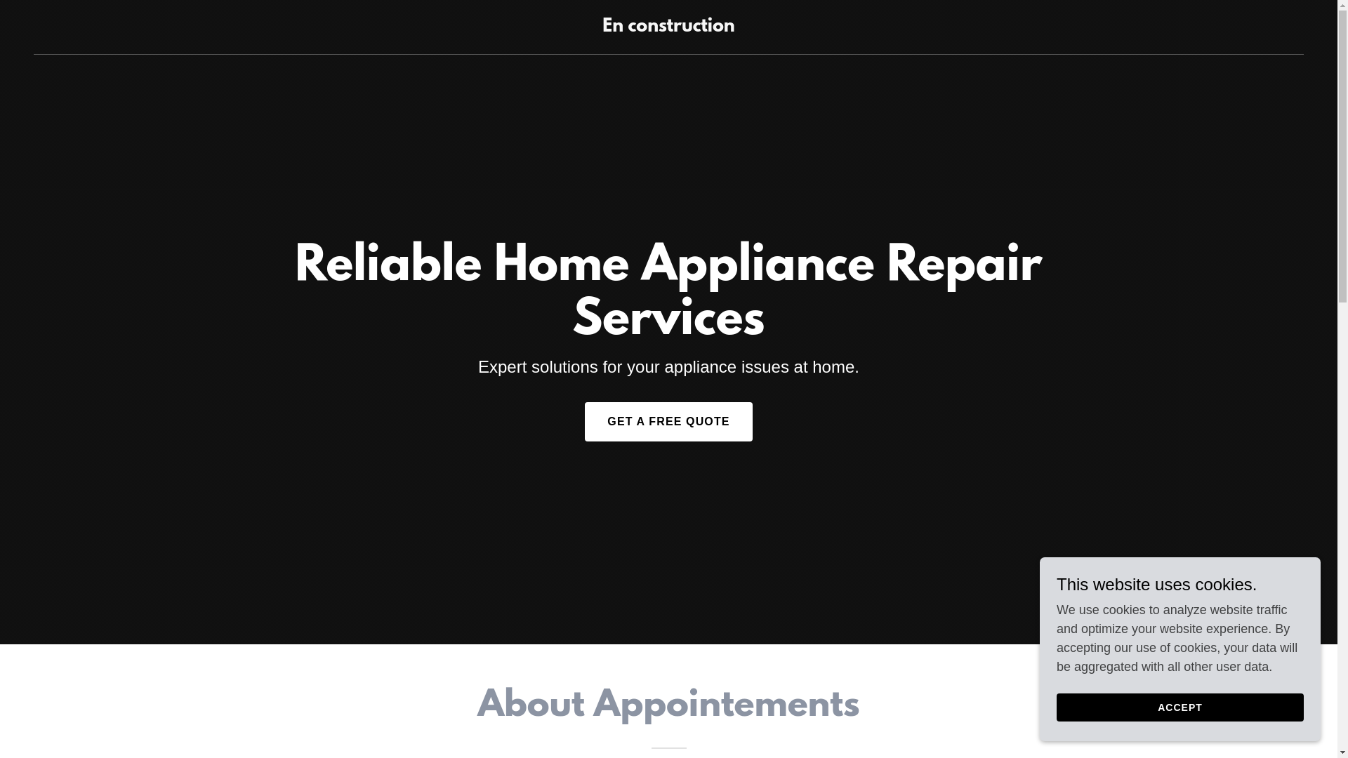 website screenshot of https://sylvainelectros.ca/